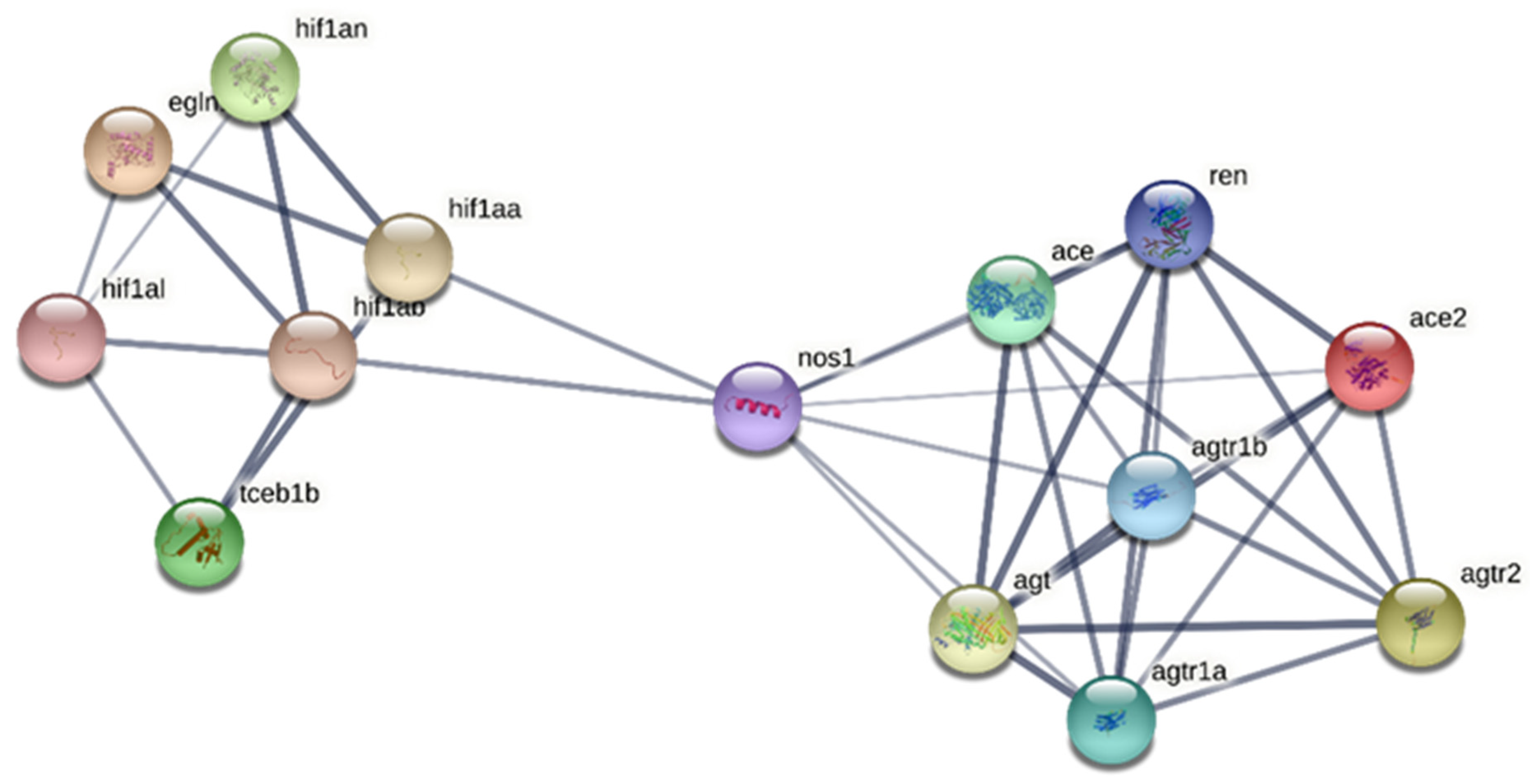 Antioxidants 11 00764 g007 Antioxidants 11 00764 g007