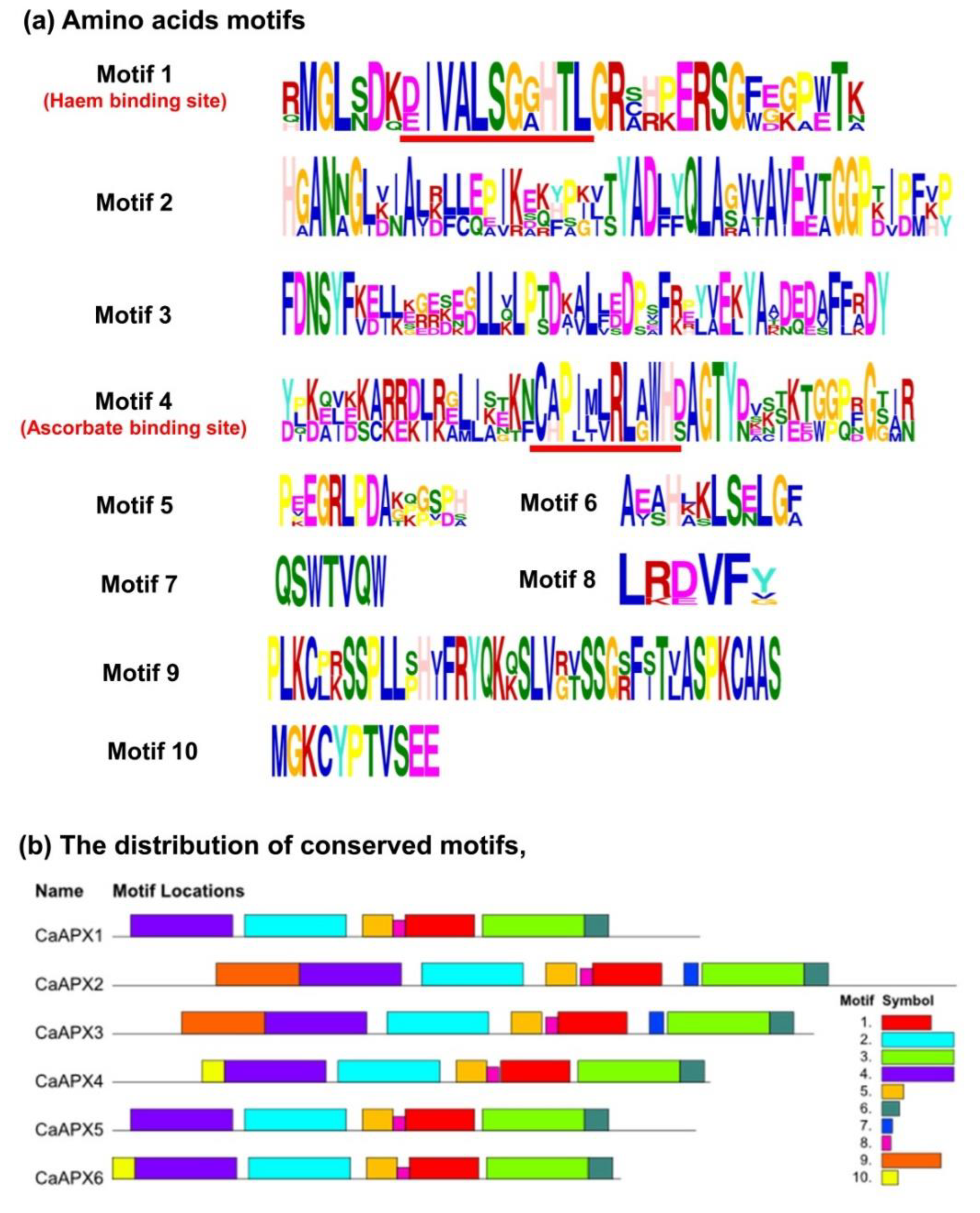Antioxidants 11 00765 g001