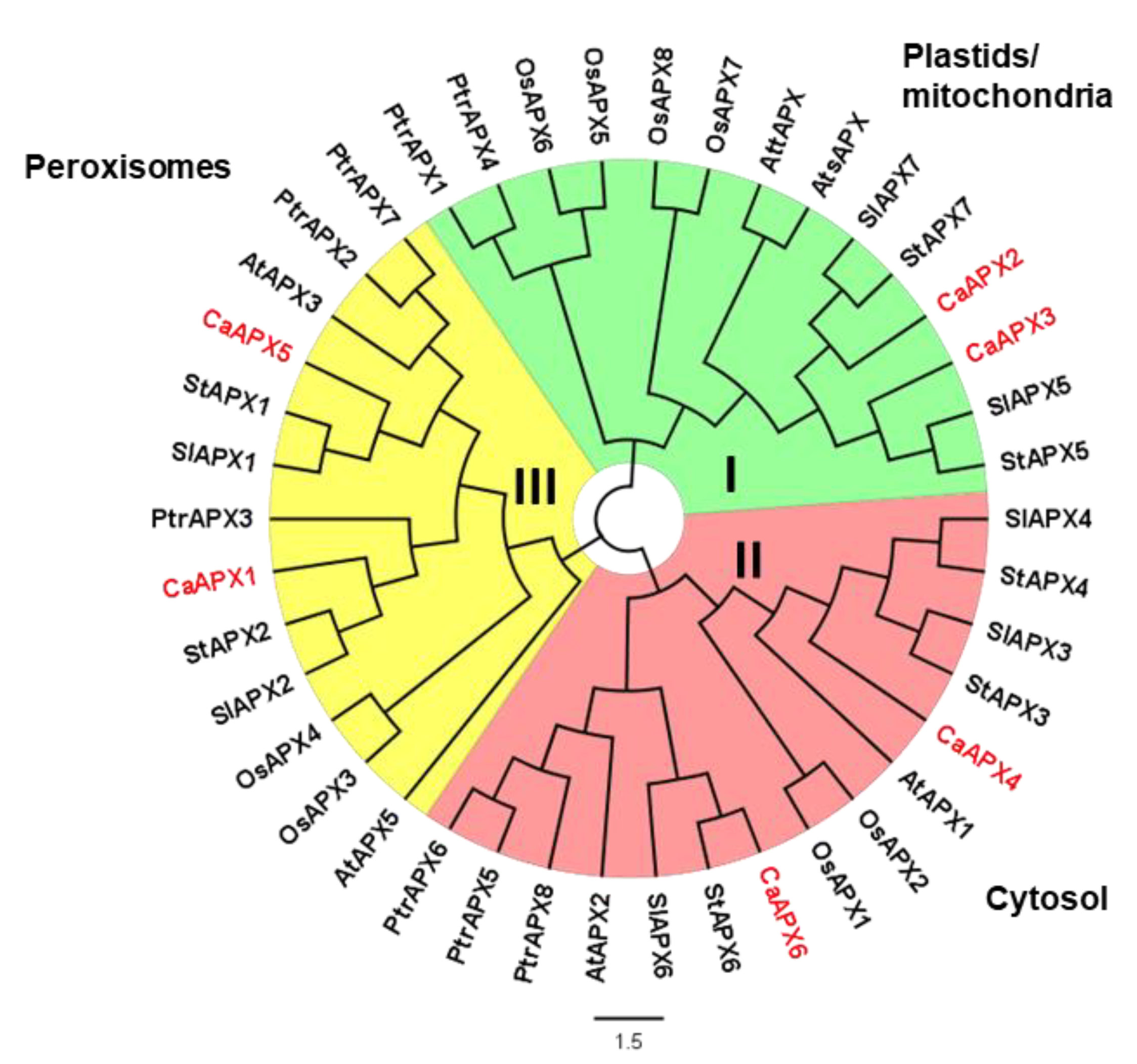 Antioxidants 11 00765 g002