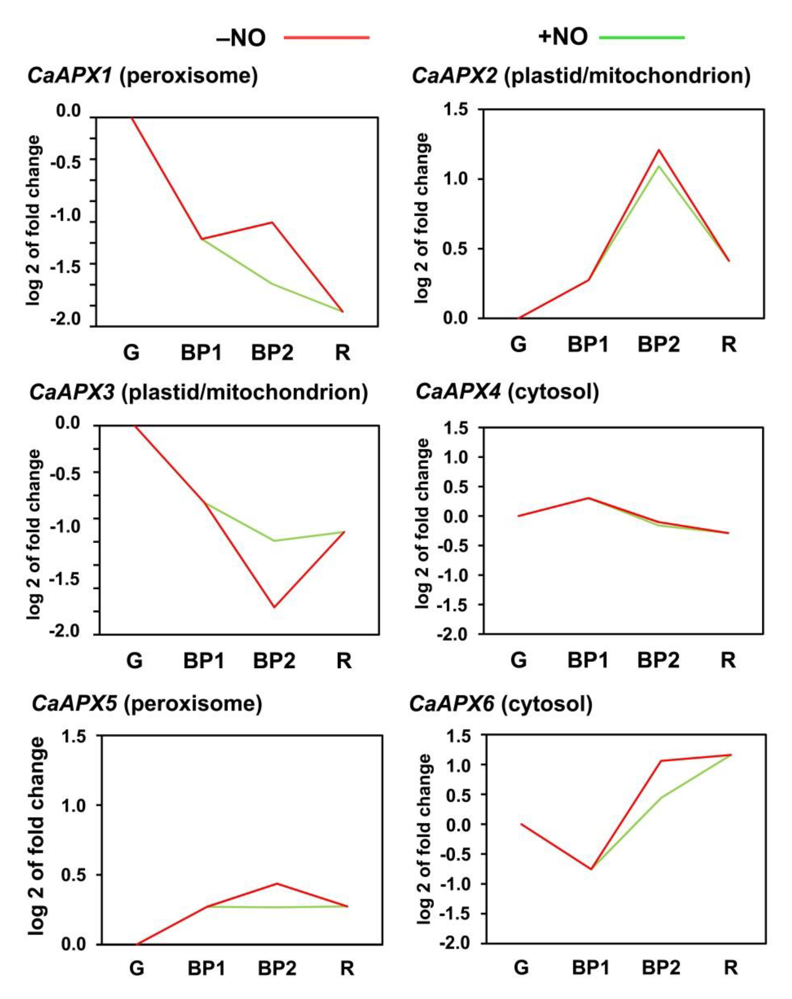 Antioxidants 11 00765 g003