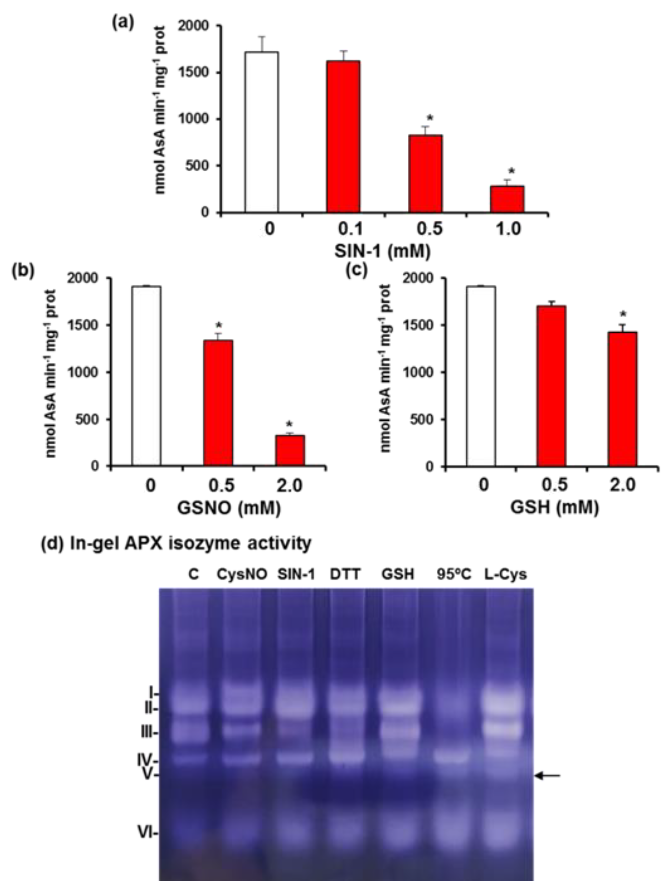 Antioxidants 11 00765 g006