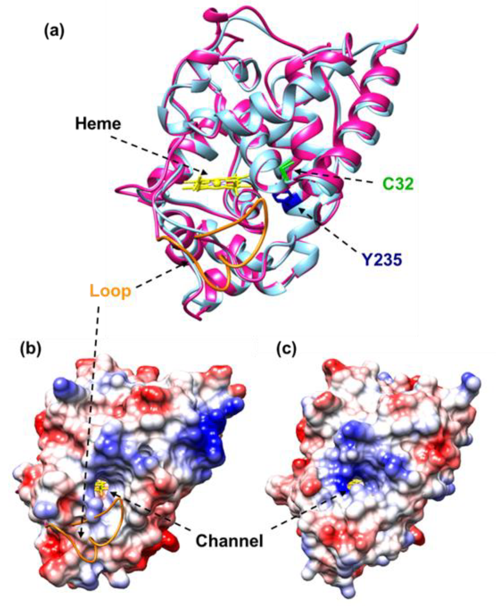 Antioxidants 11 00765 g007