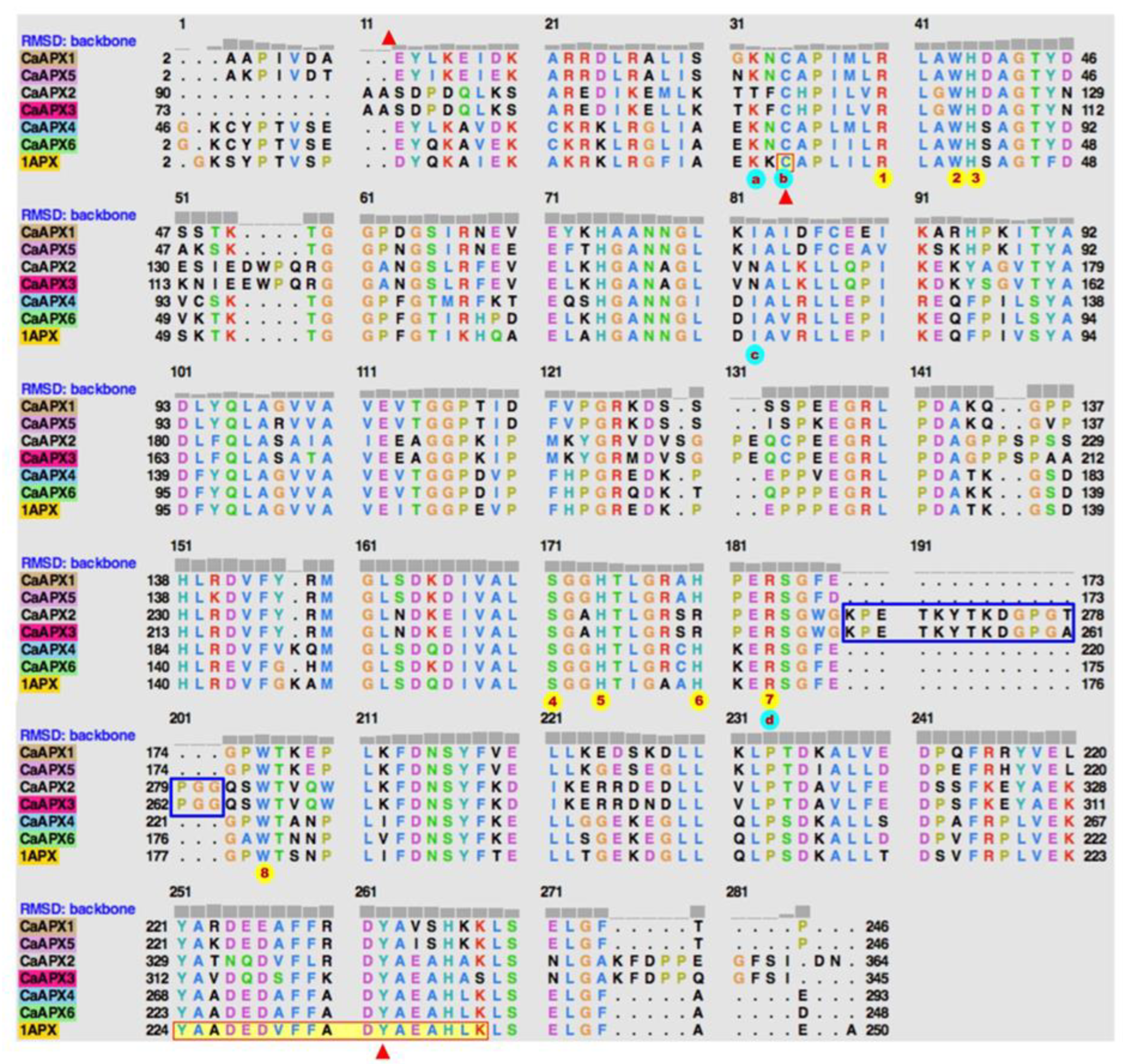Antioxidants 11 00765 g008