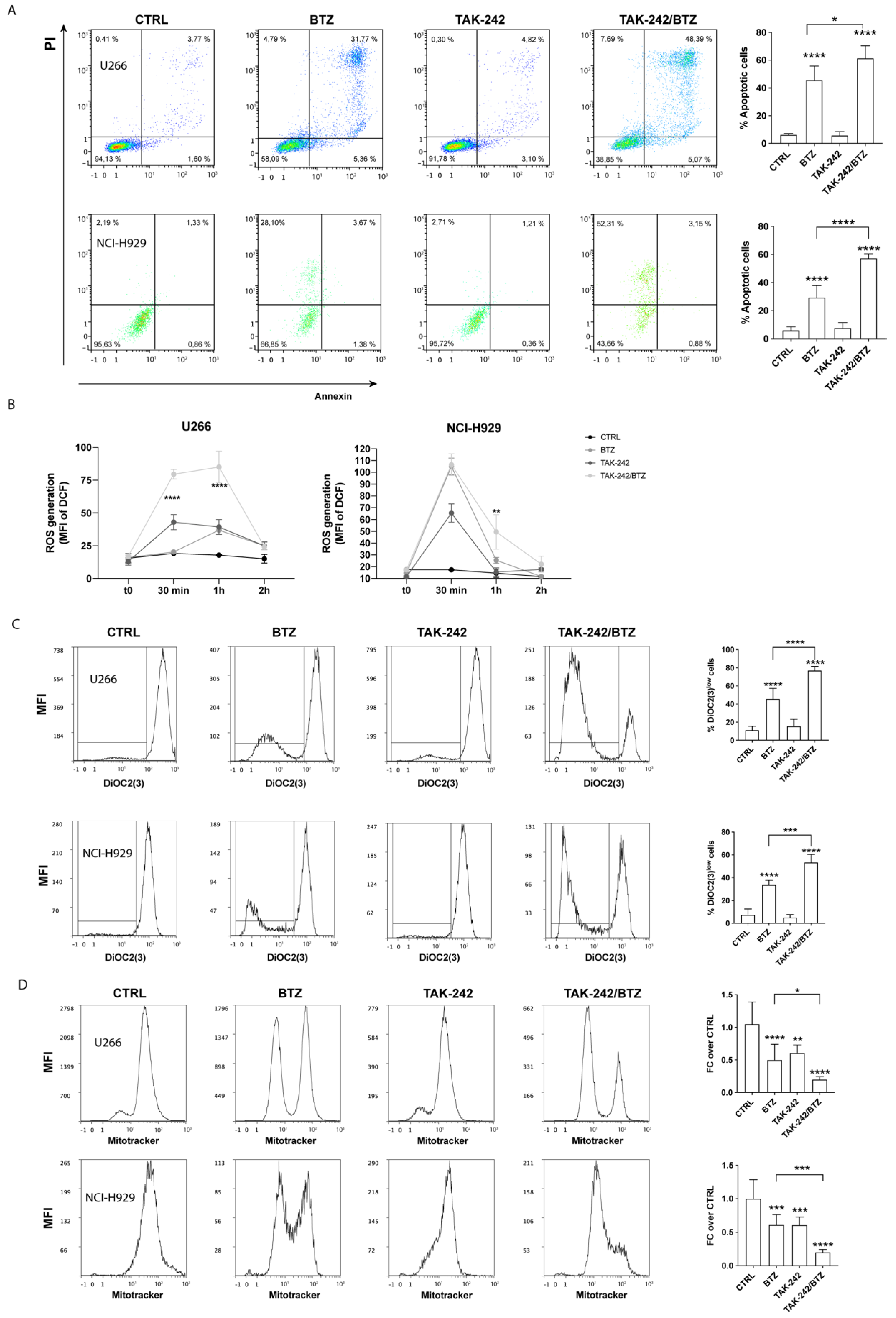 Antioxidants 11 00767 g001