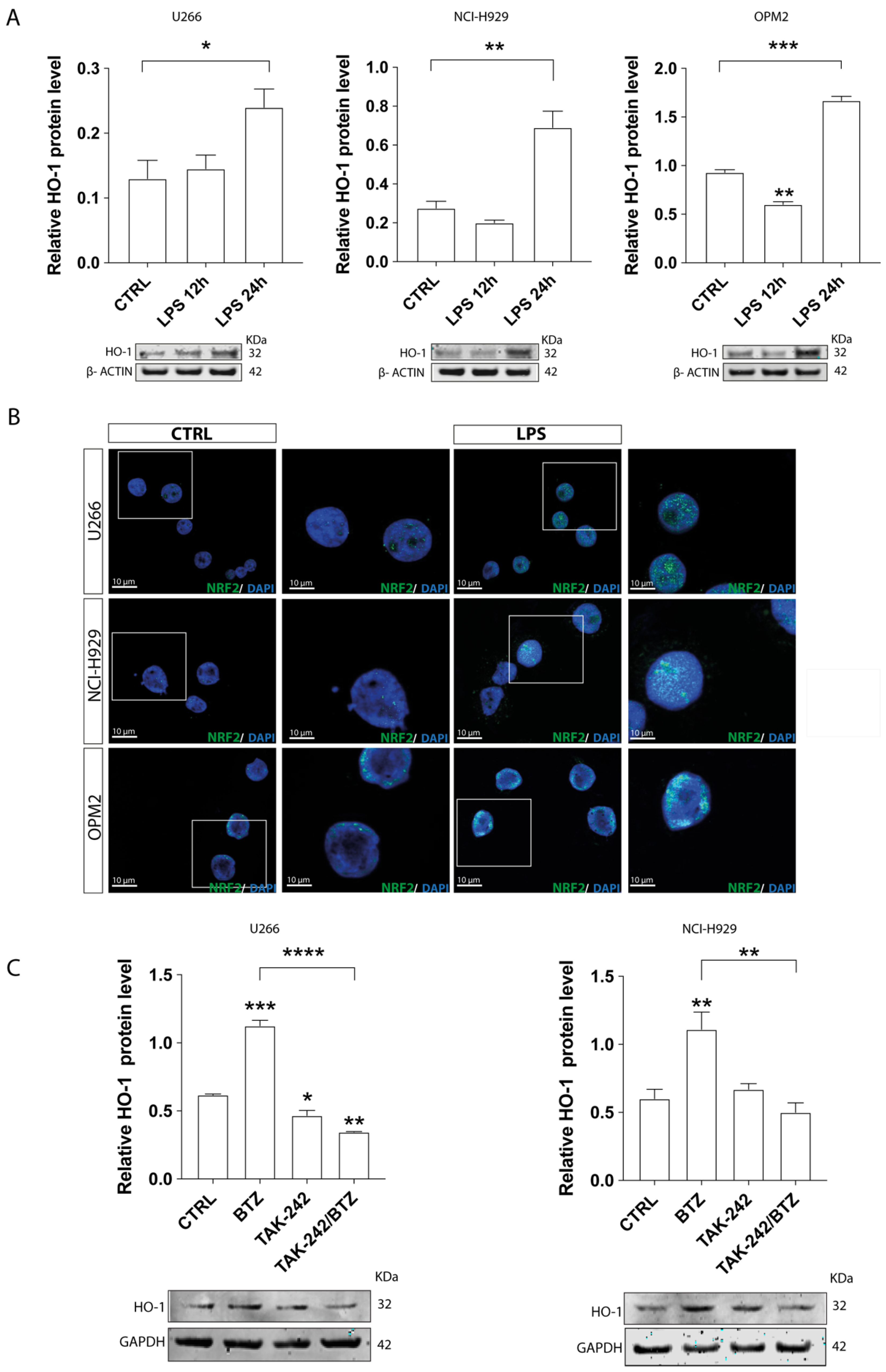 Antioxidants 11 00767 g003