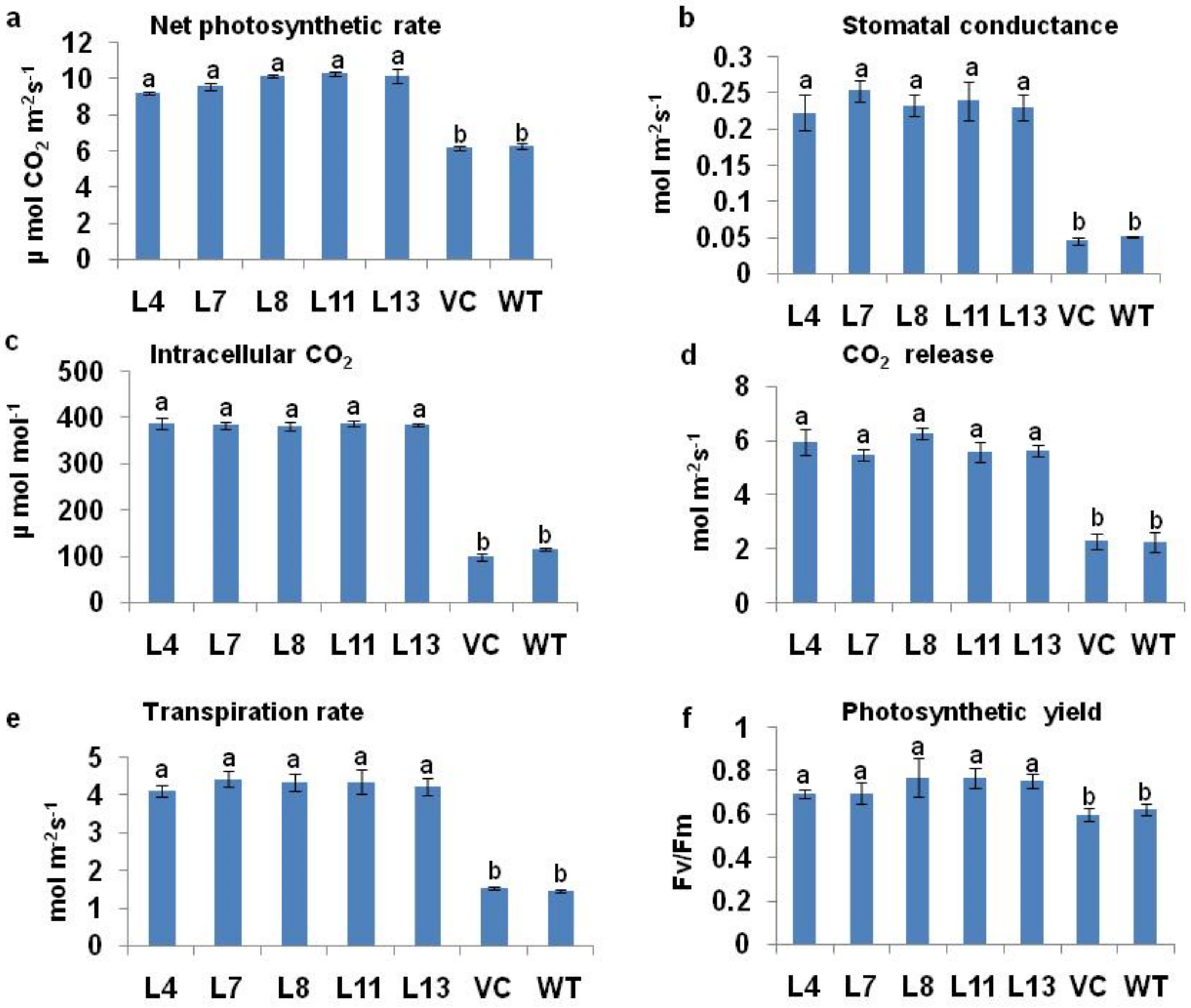 Antioxidants 11 00770 g003