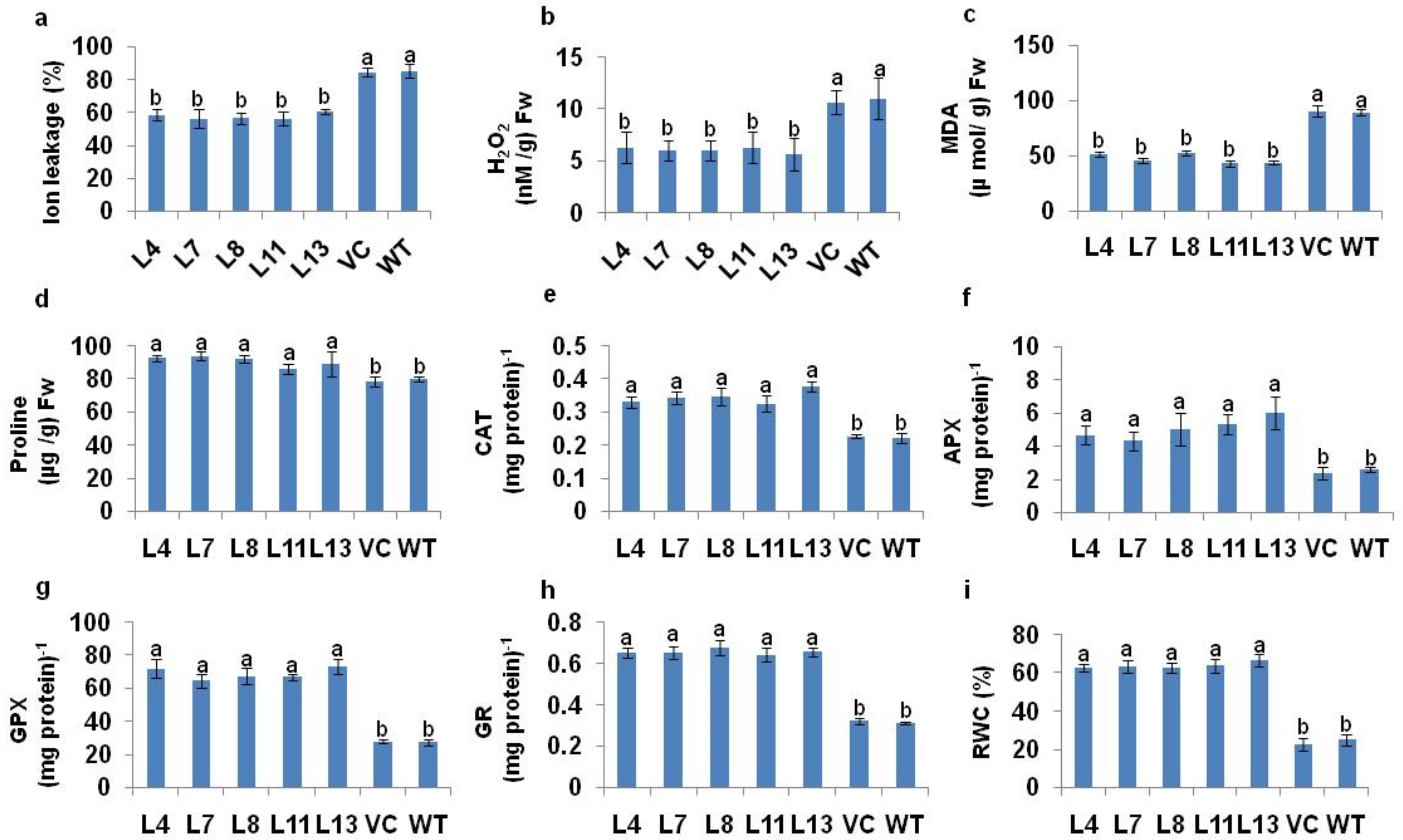 Antioxidants 11 00770 g004