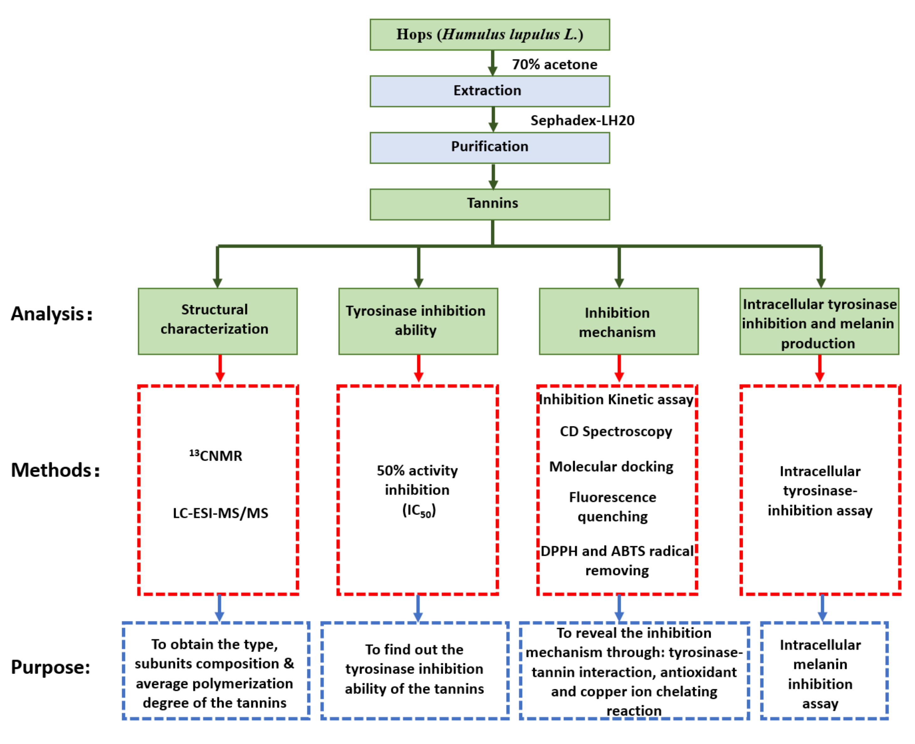 Antioxidants 11 00772 g001
