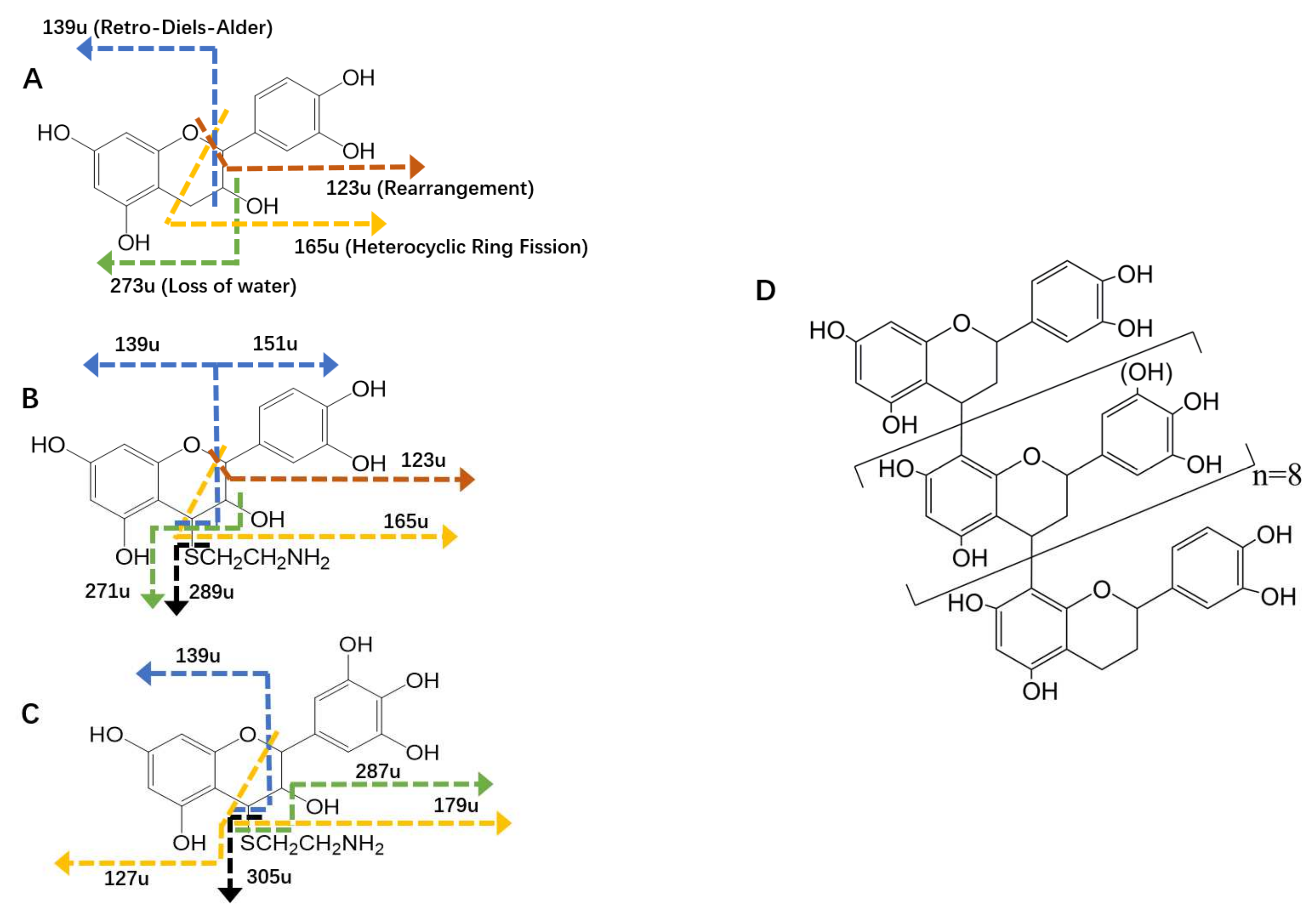 Antioxidants 11 00772 g003