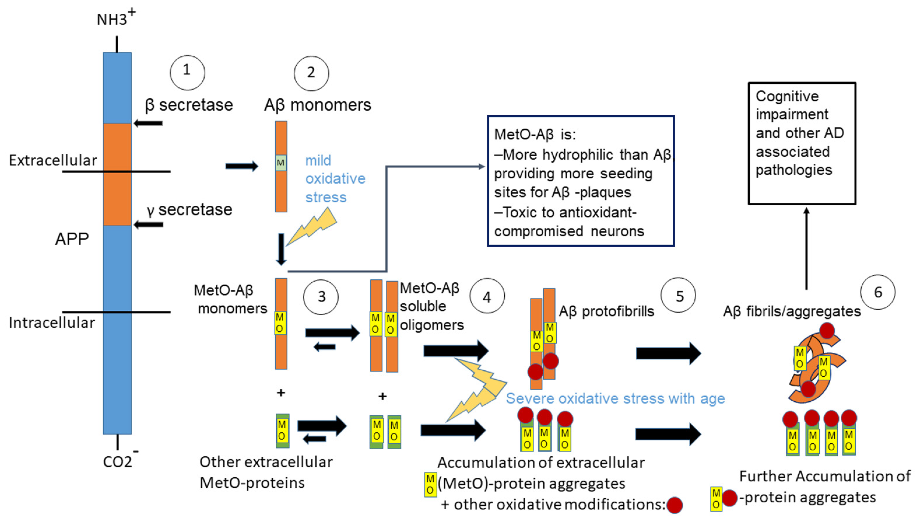 Antioxidants 11 00775 g001