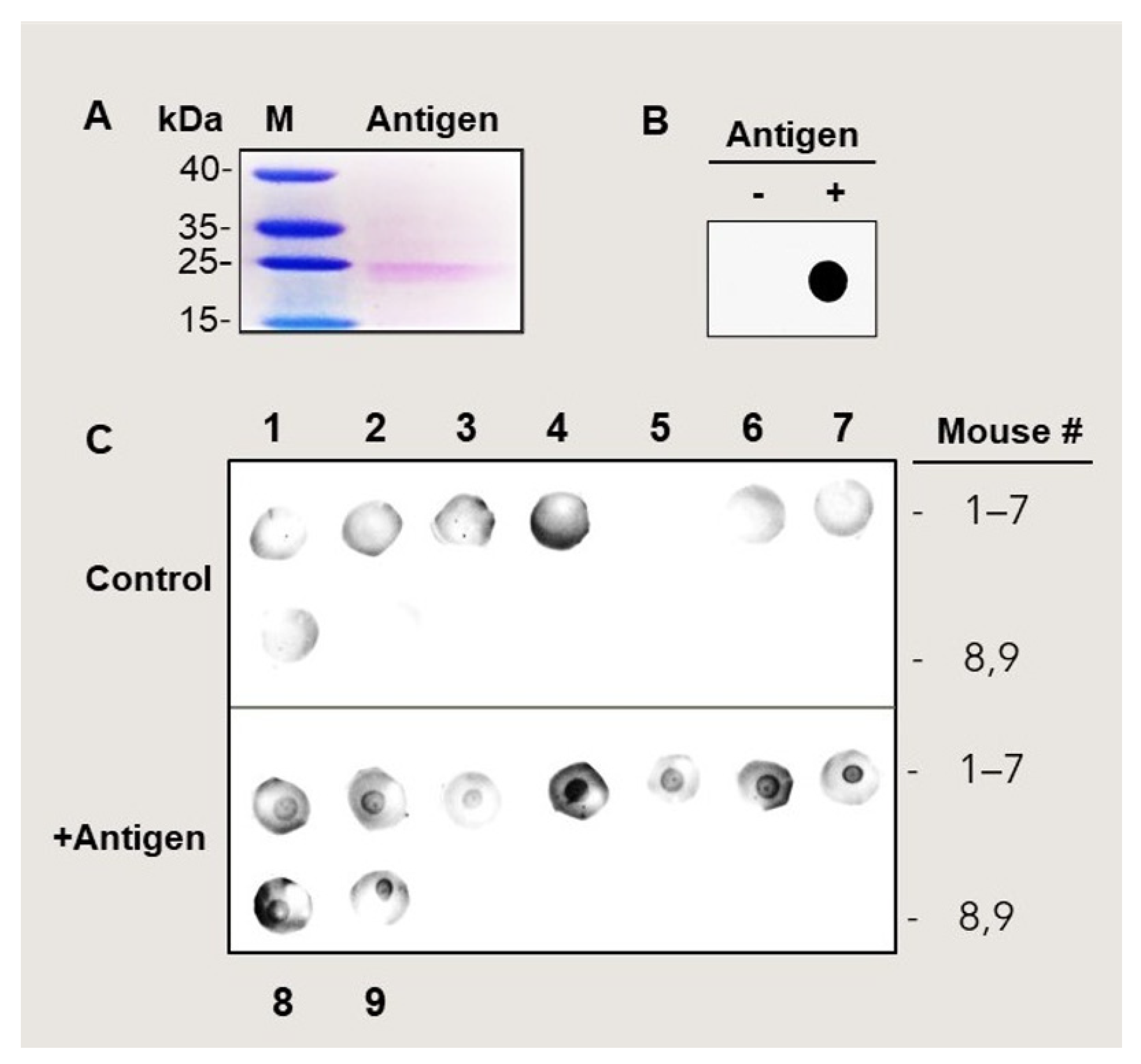 Antioxidants 11 00775 g002