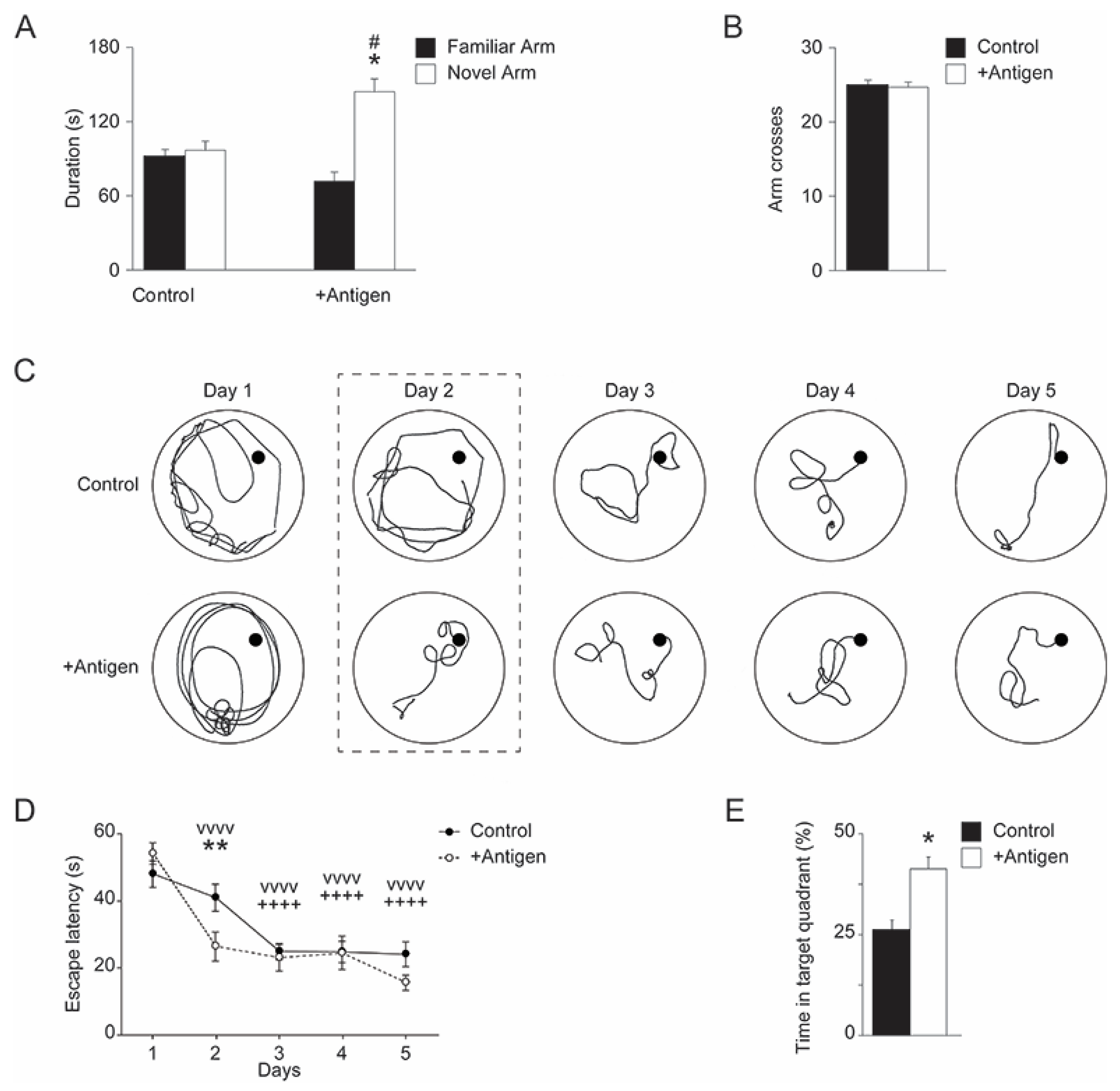 Antioxidants 11 00775 g003