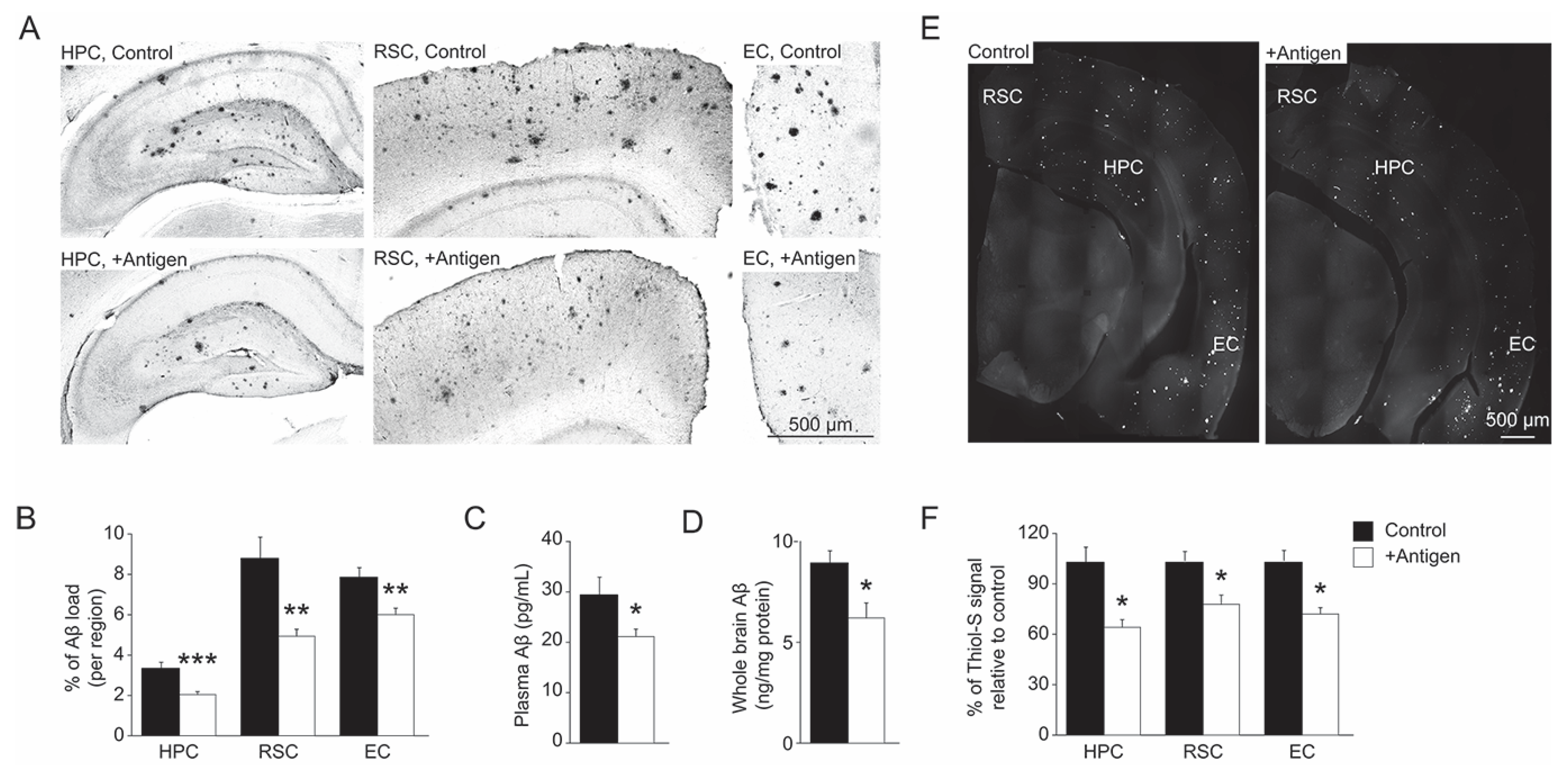 Antioxidants 11 00775 g004