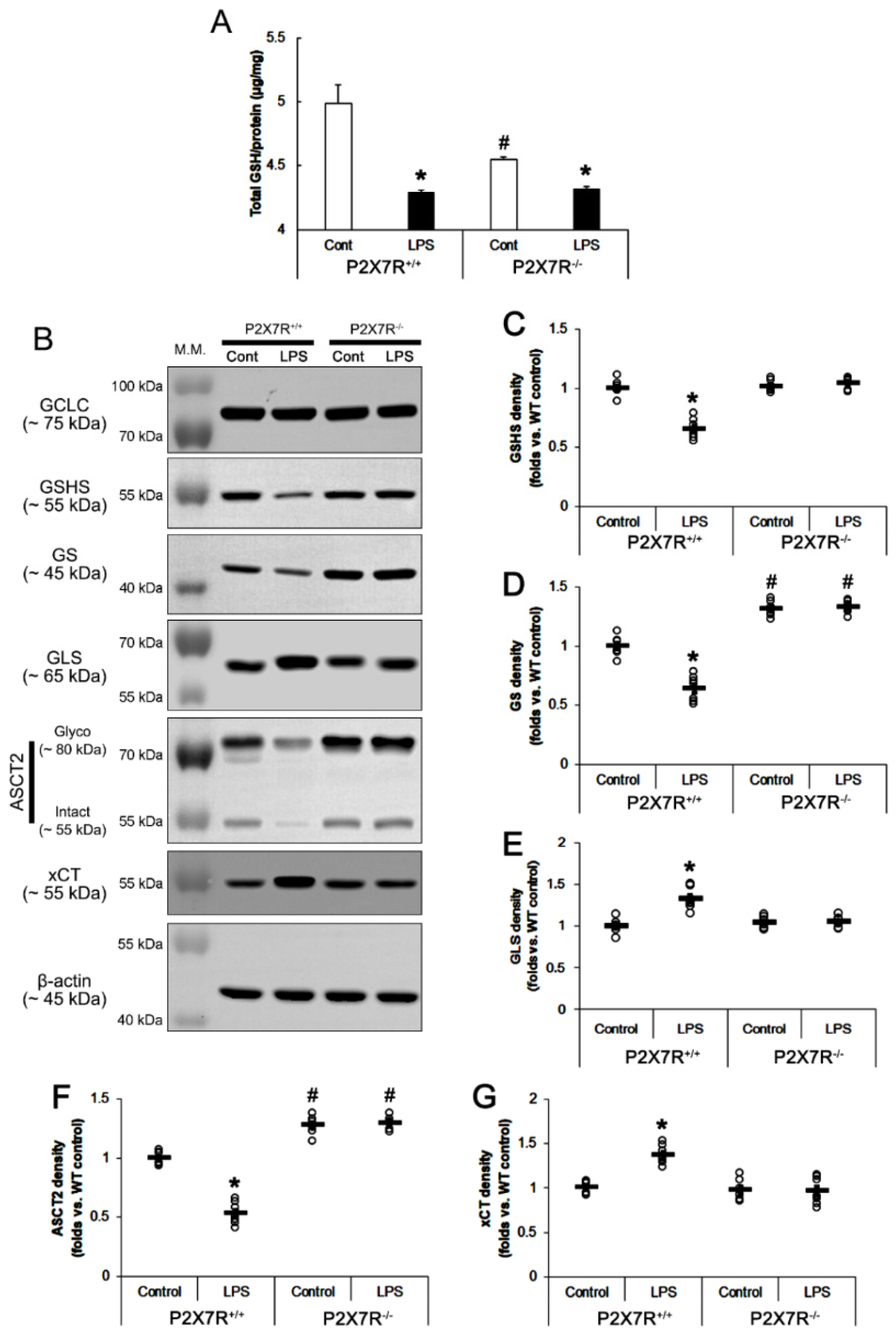 Antioxidants 11 00778 g006