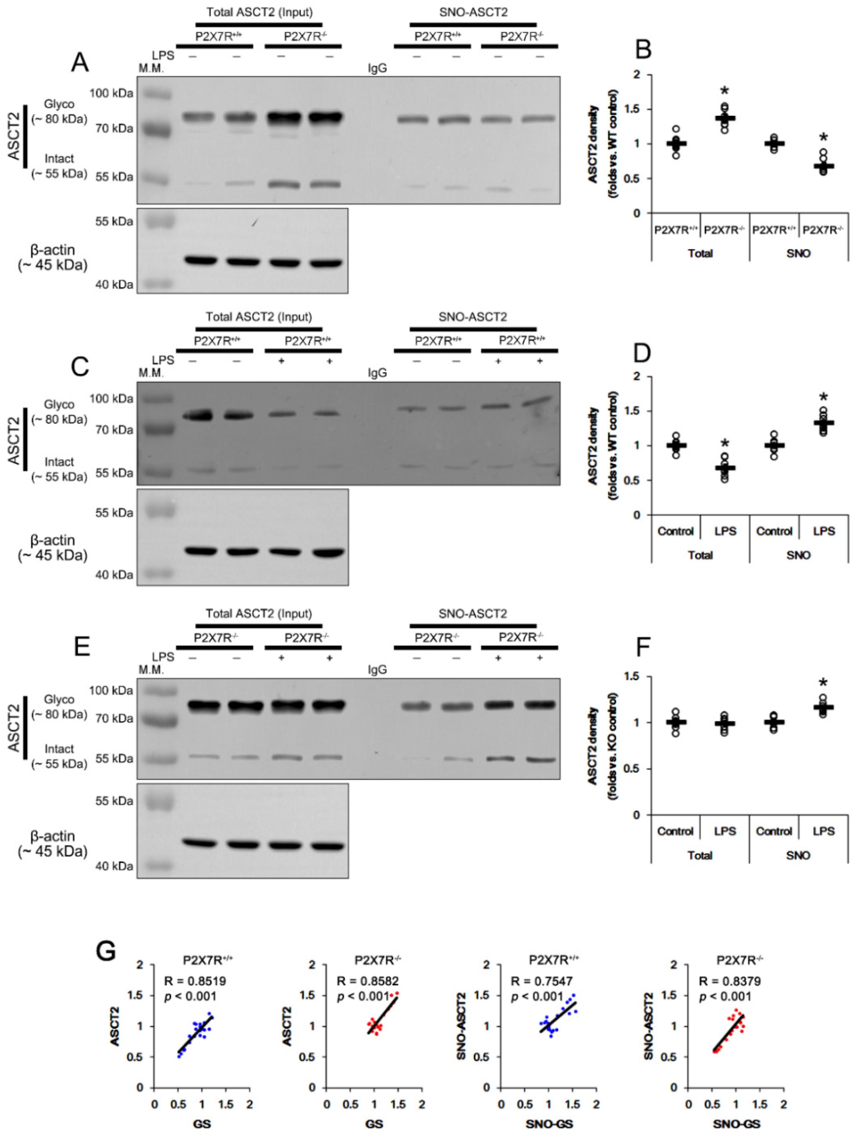 Antioxidants 11 00778 g008