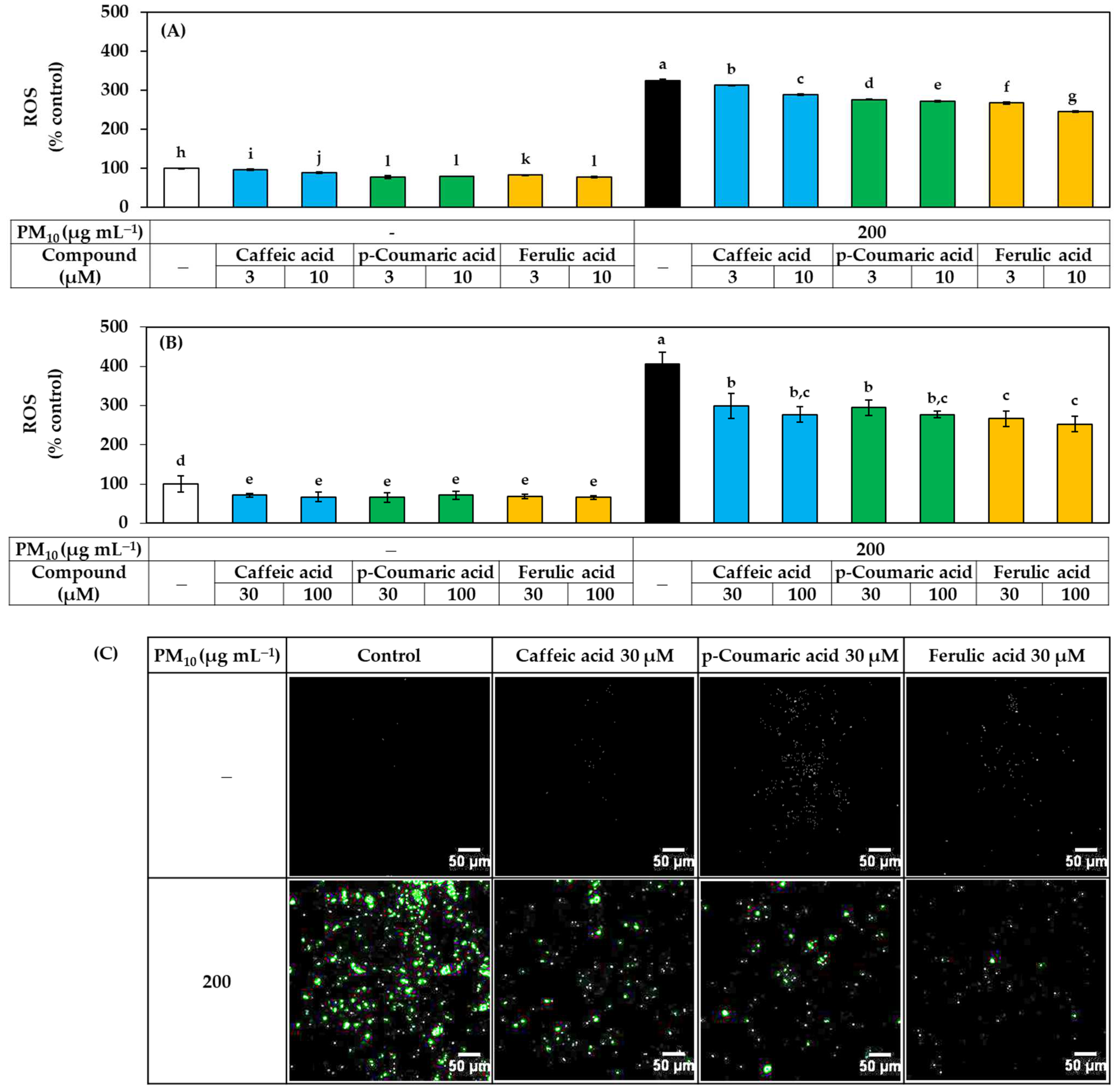 Antioxidants 11 00781 g006
