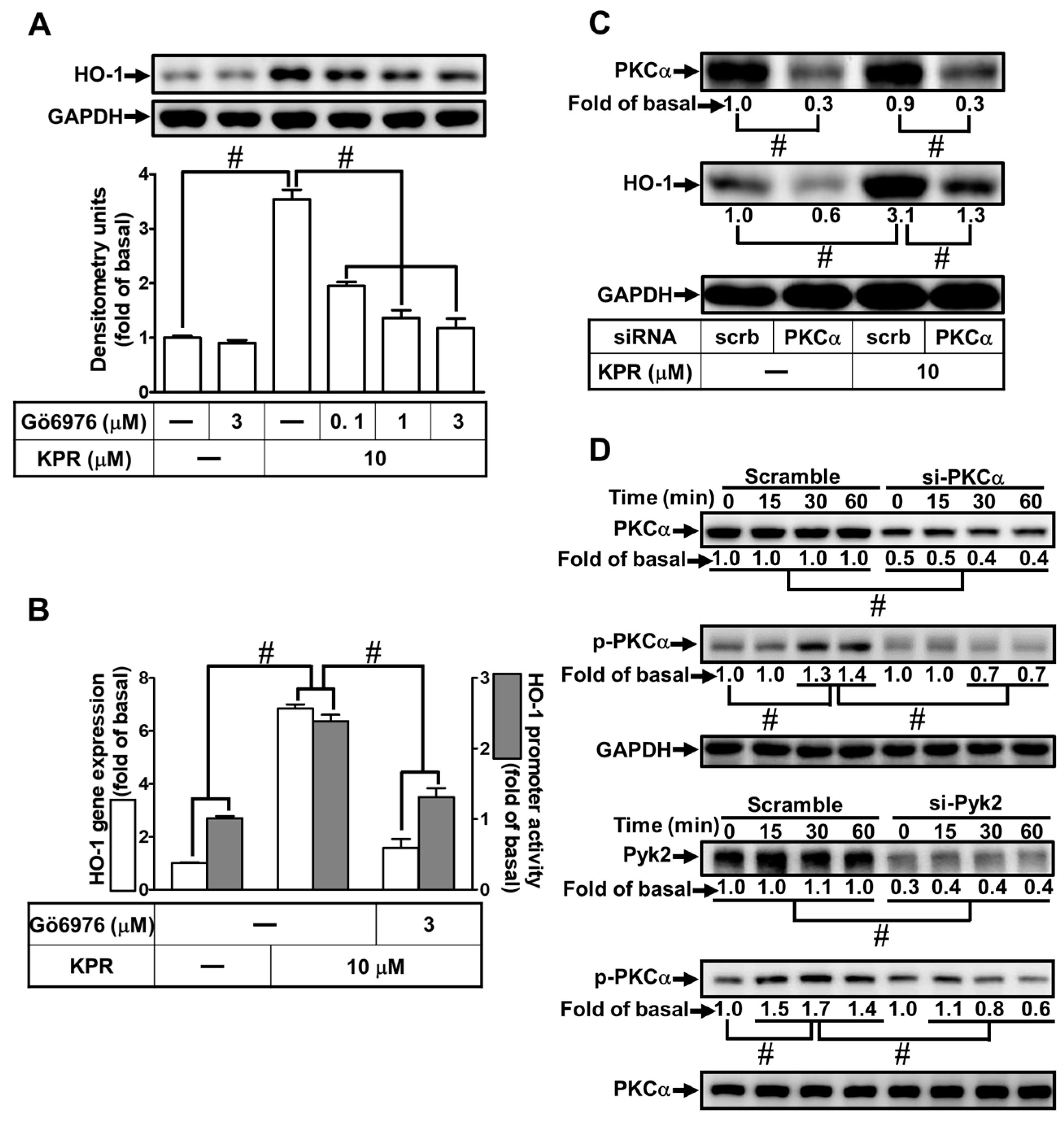 Antioxidants 11 00782 g007