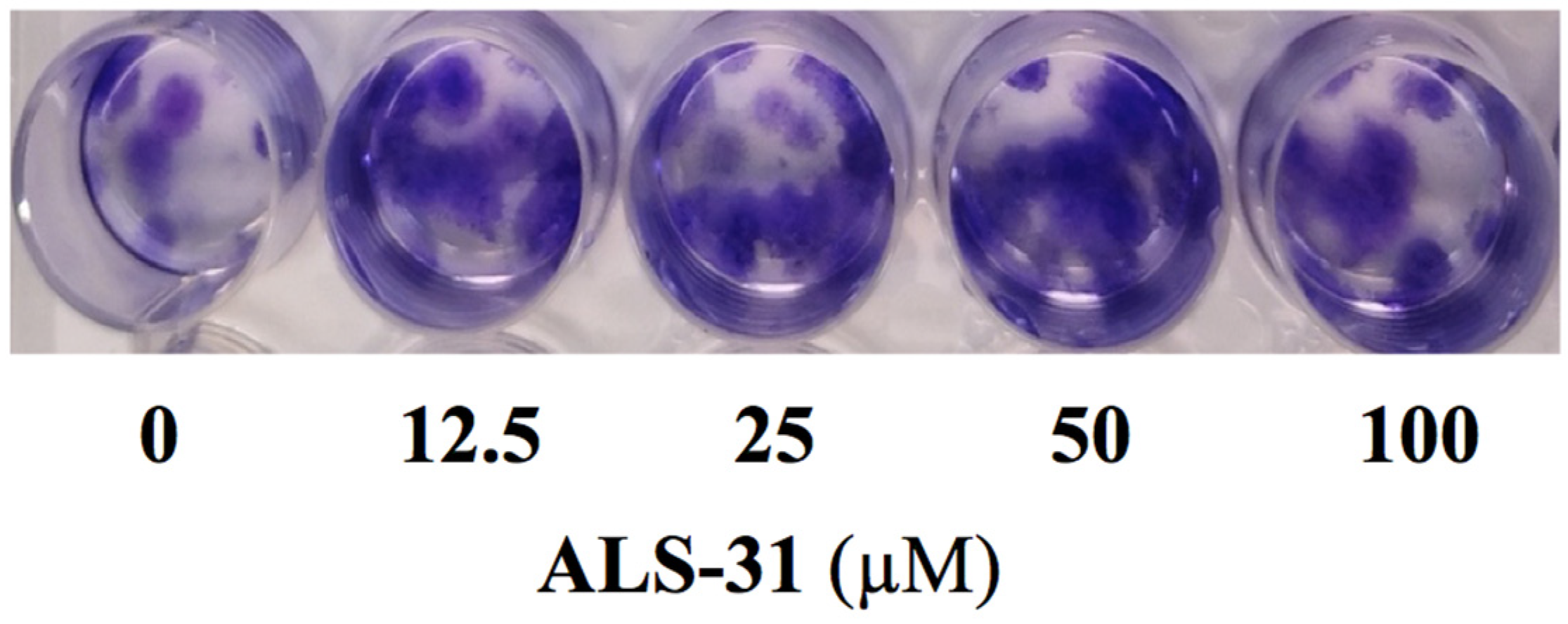 Antioxidants 11 00785 g006