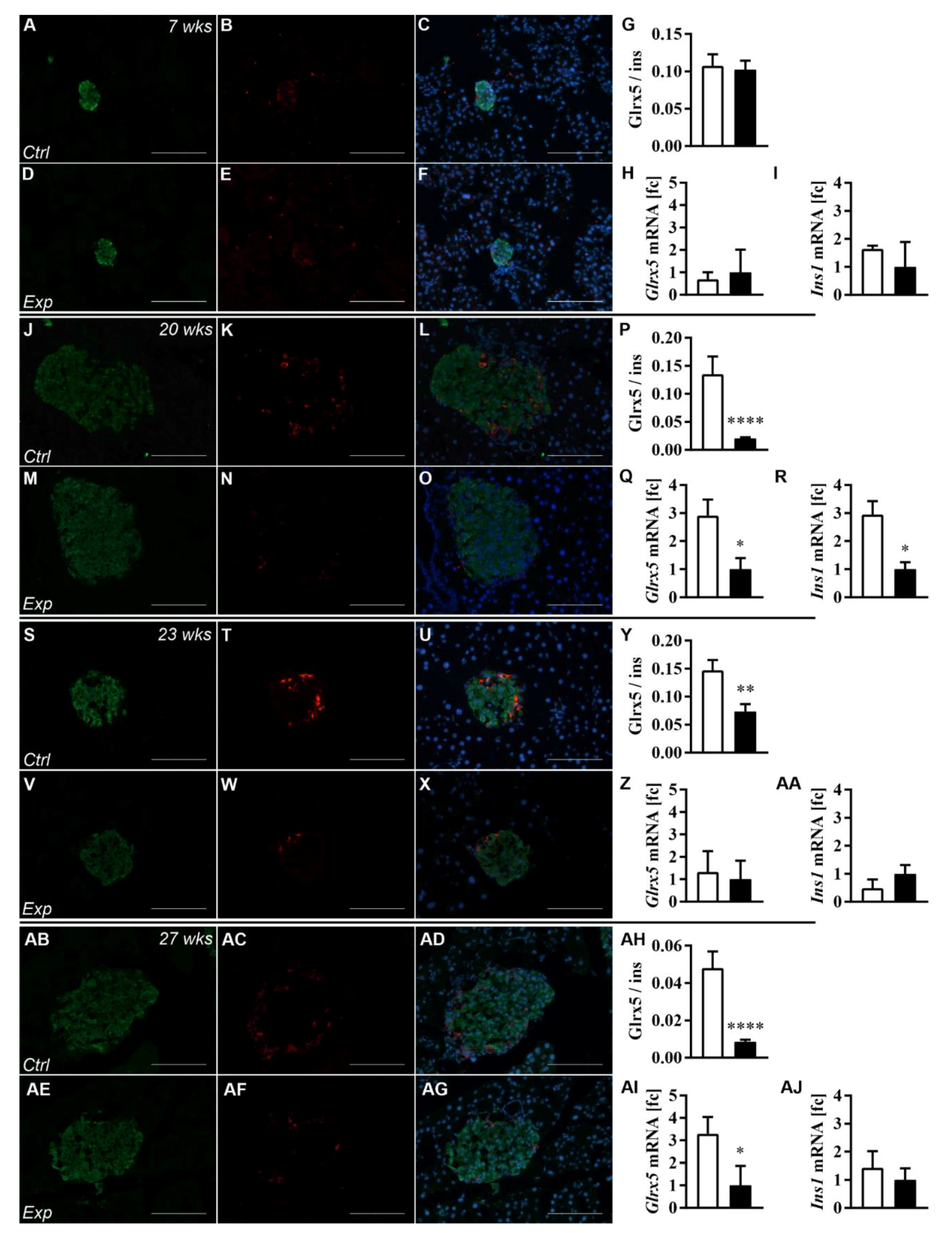 Antioxidants 11 00788 g003