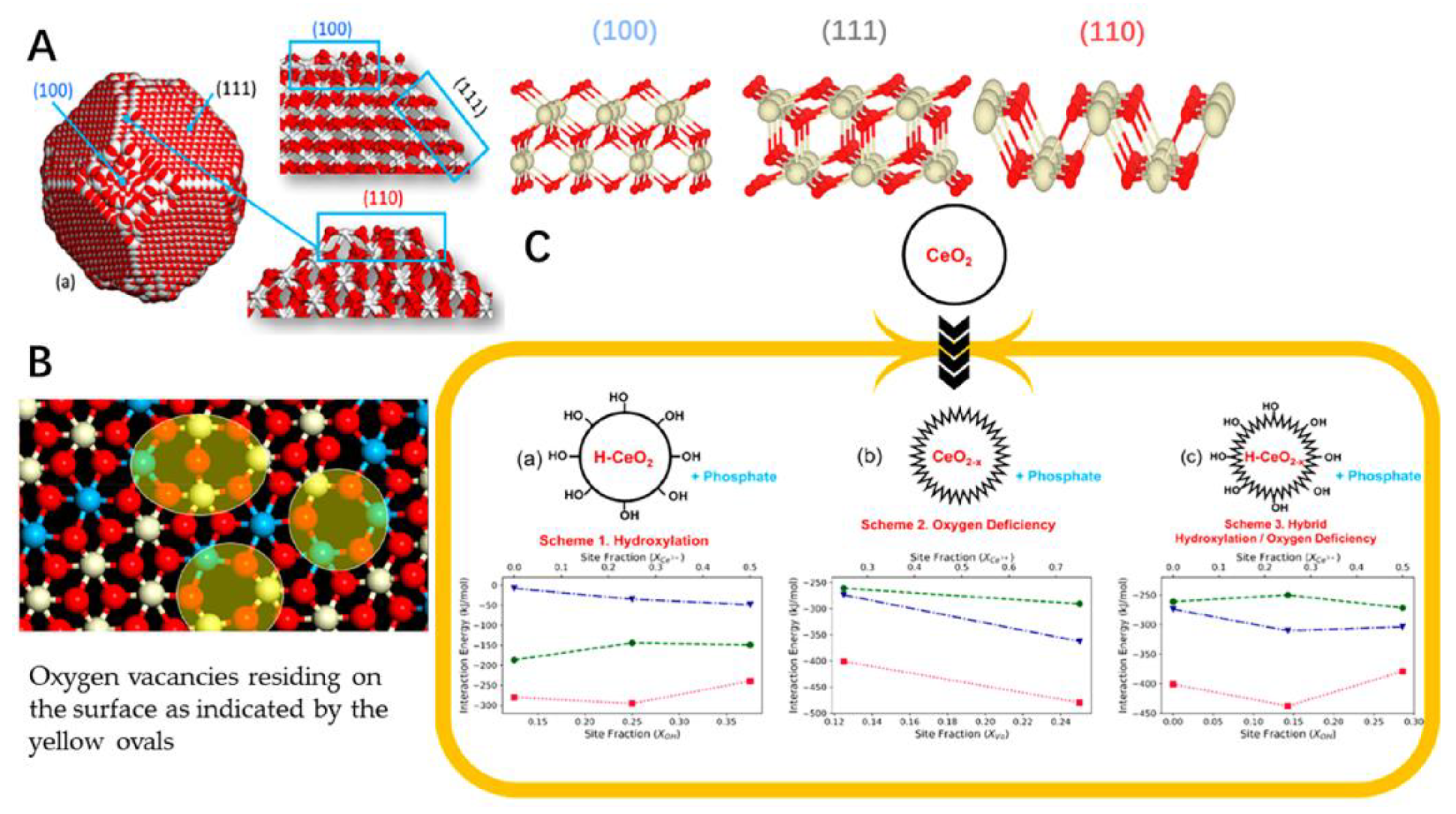 Antioxidants 11 00791 g002