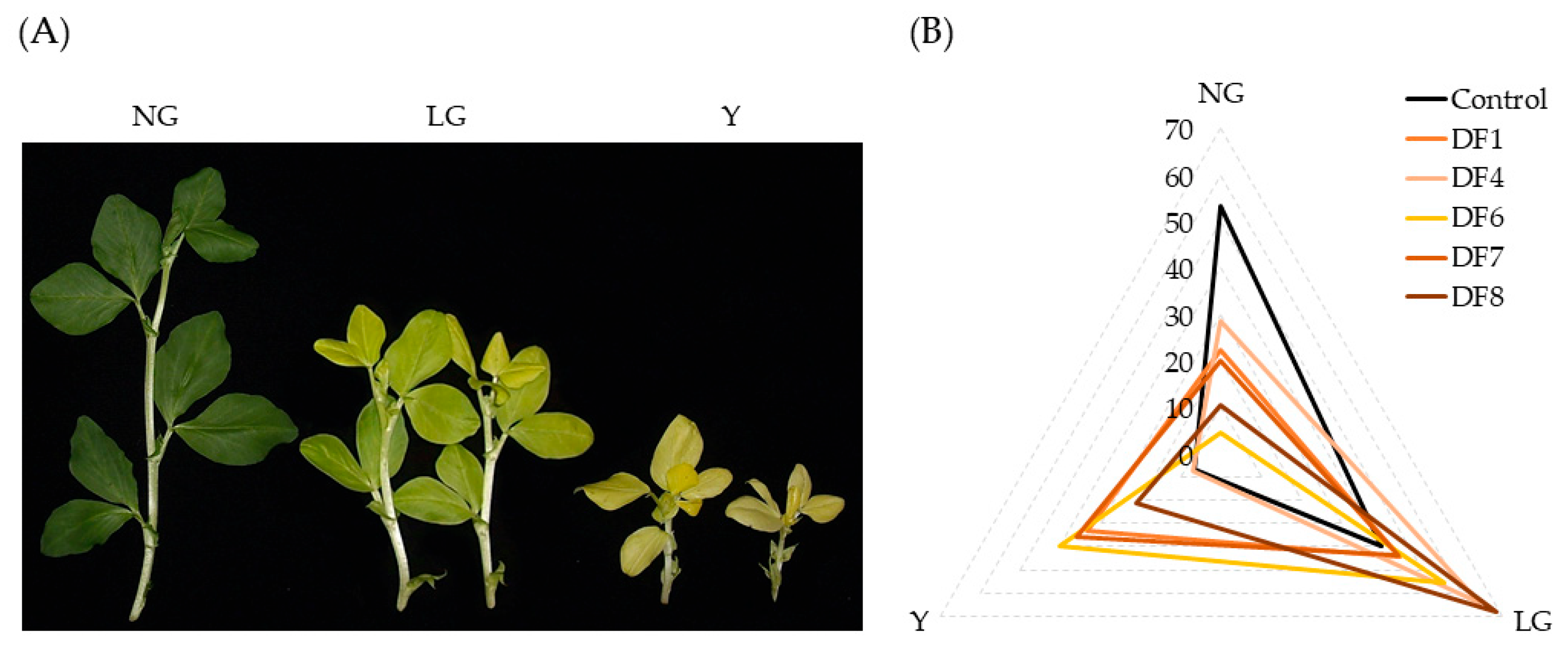 Antioxidants 11 00793 g002