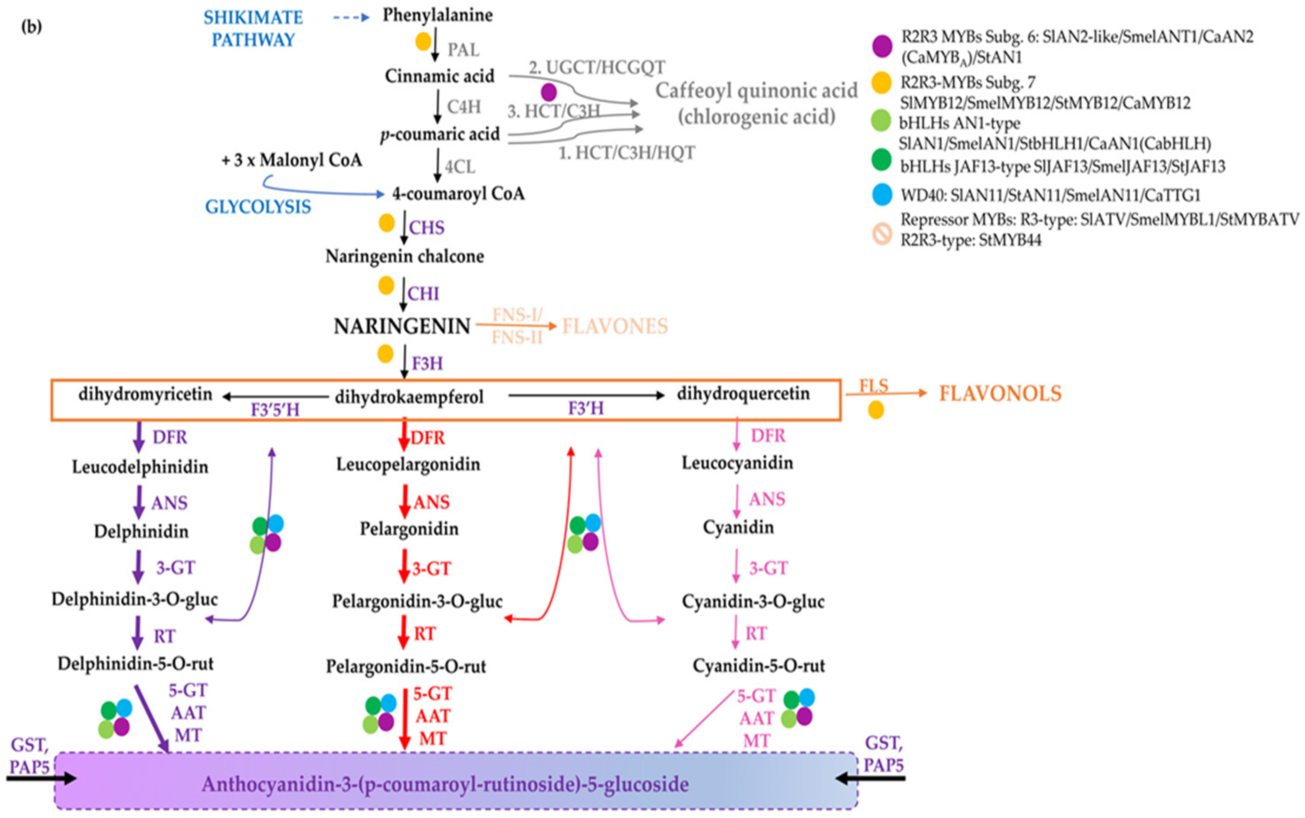 Antioxidants 11 00794 g001b Antioxidants 11 00794 g001b