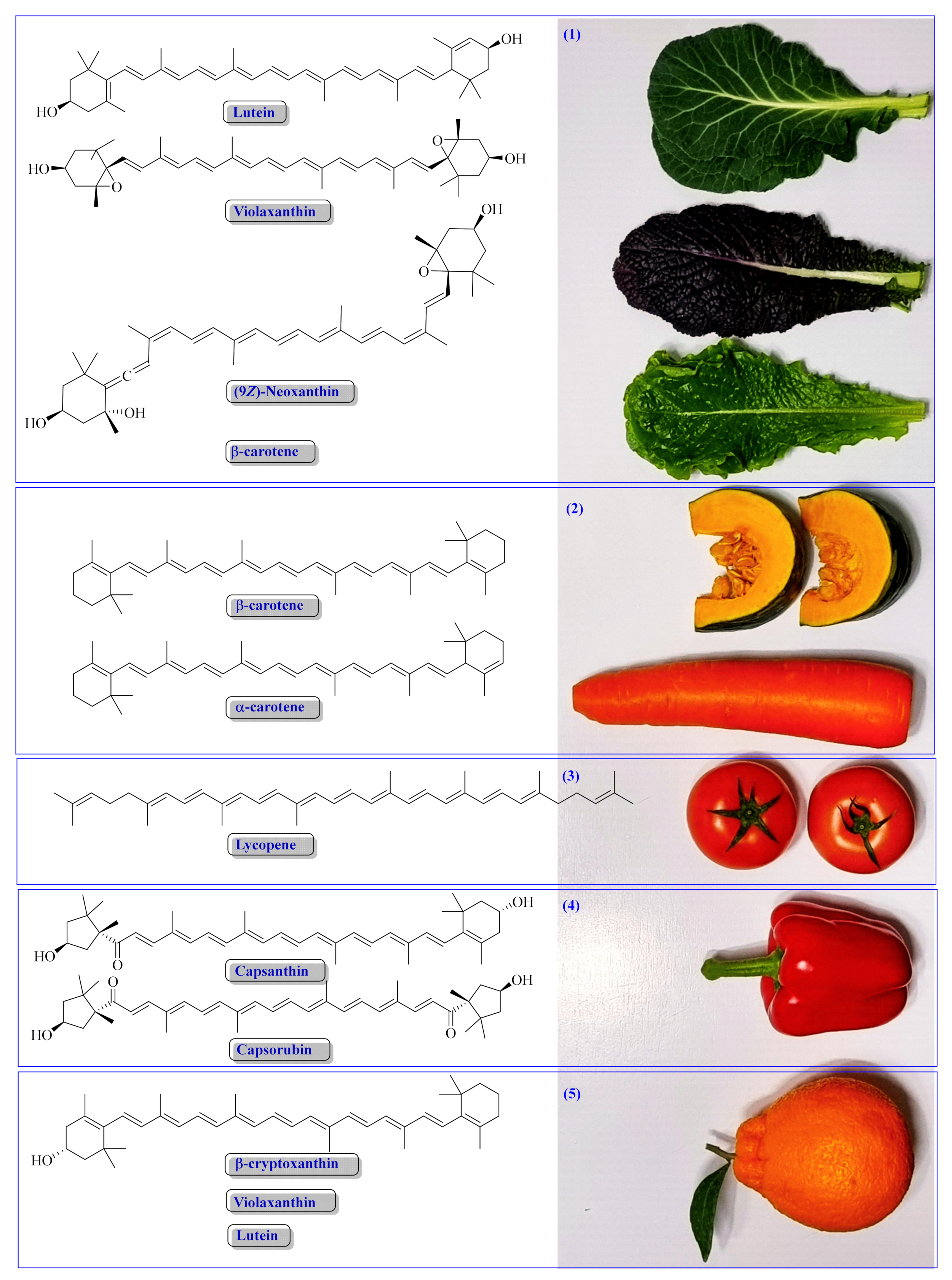 Antioxidants 11 00795 g004