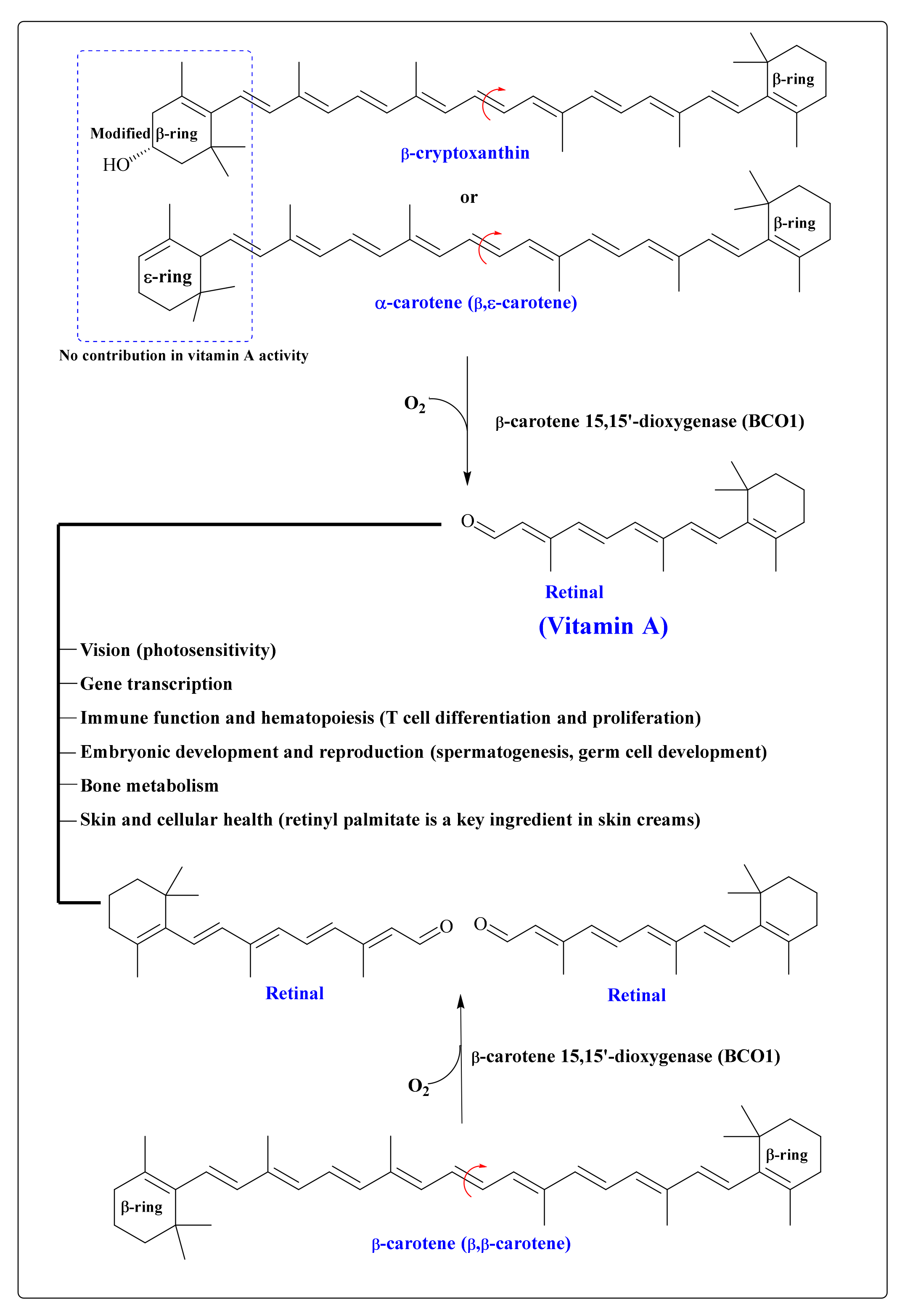 Antioxidants 11 00795 g005
