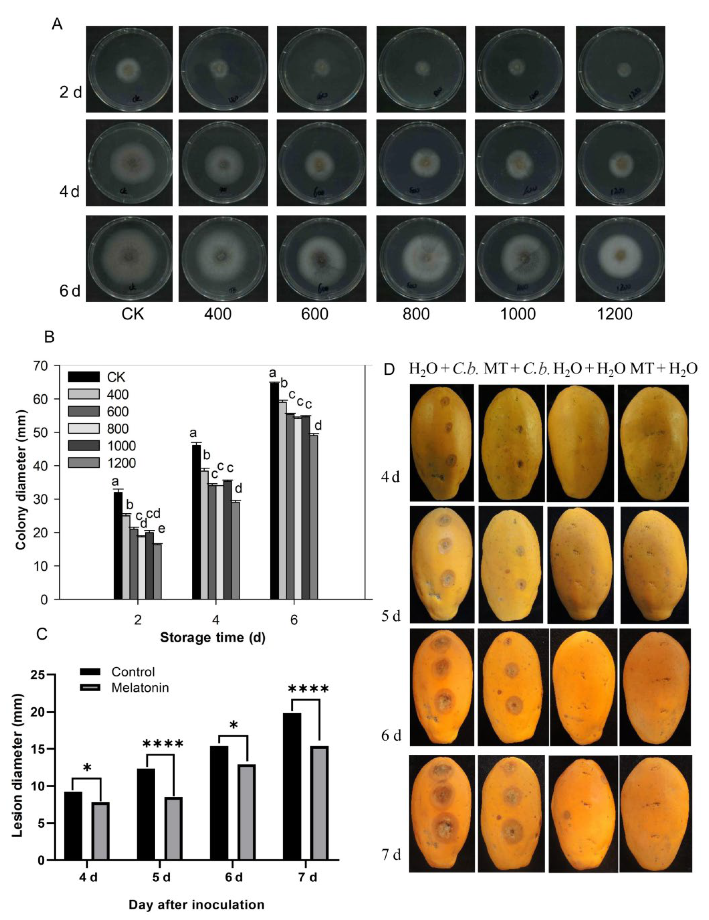 Antioxidants 11 00804 g006