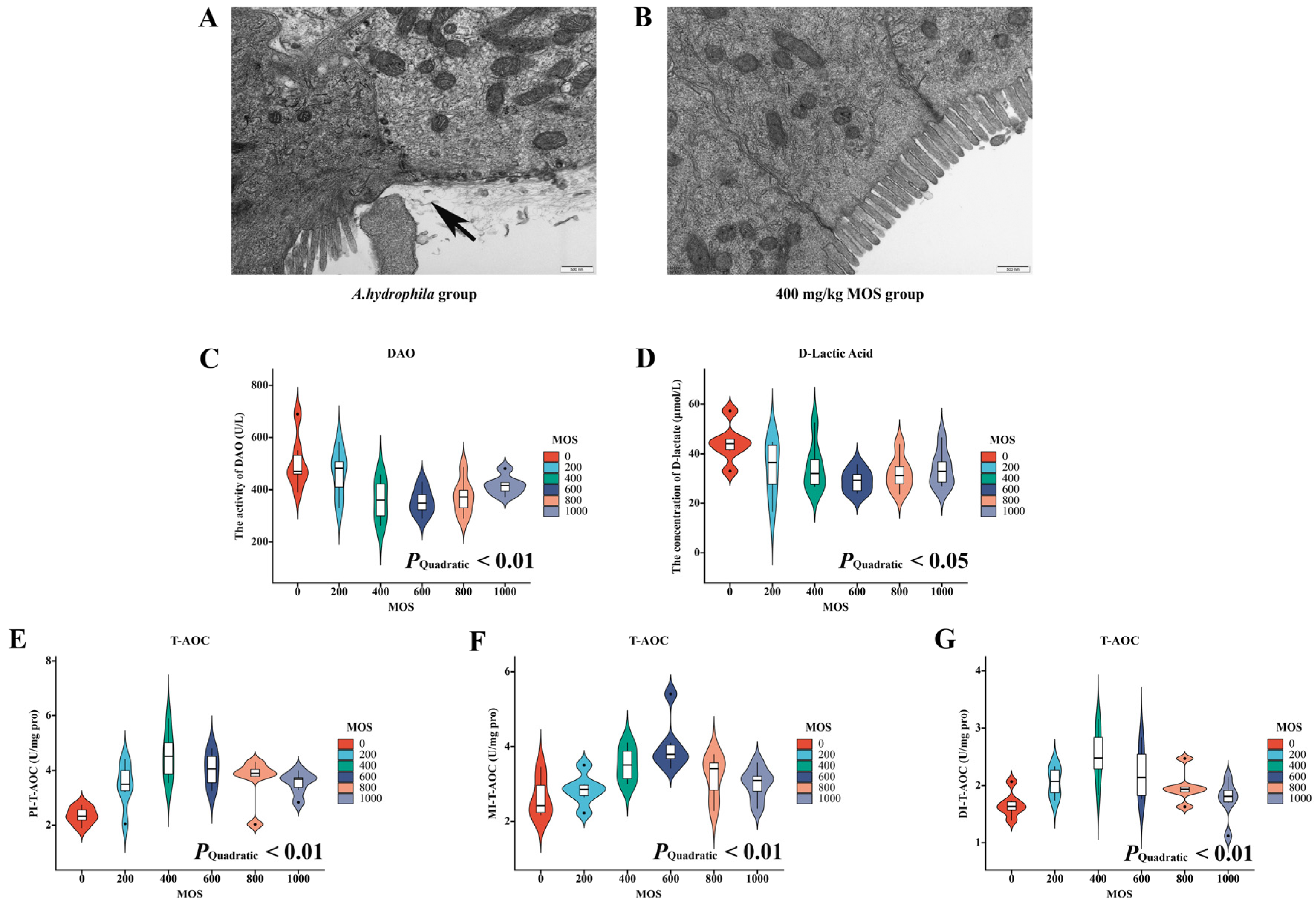 Antioxidants 11 00806 g001