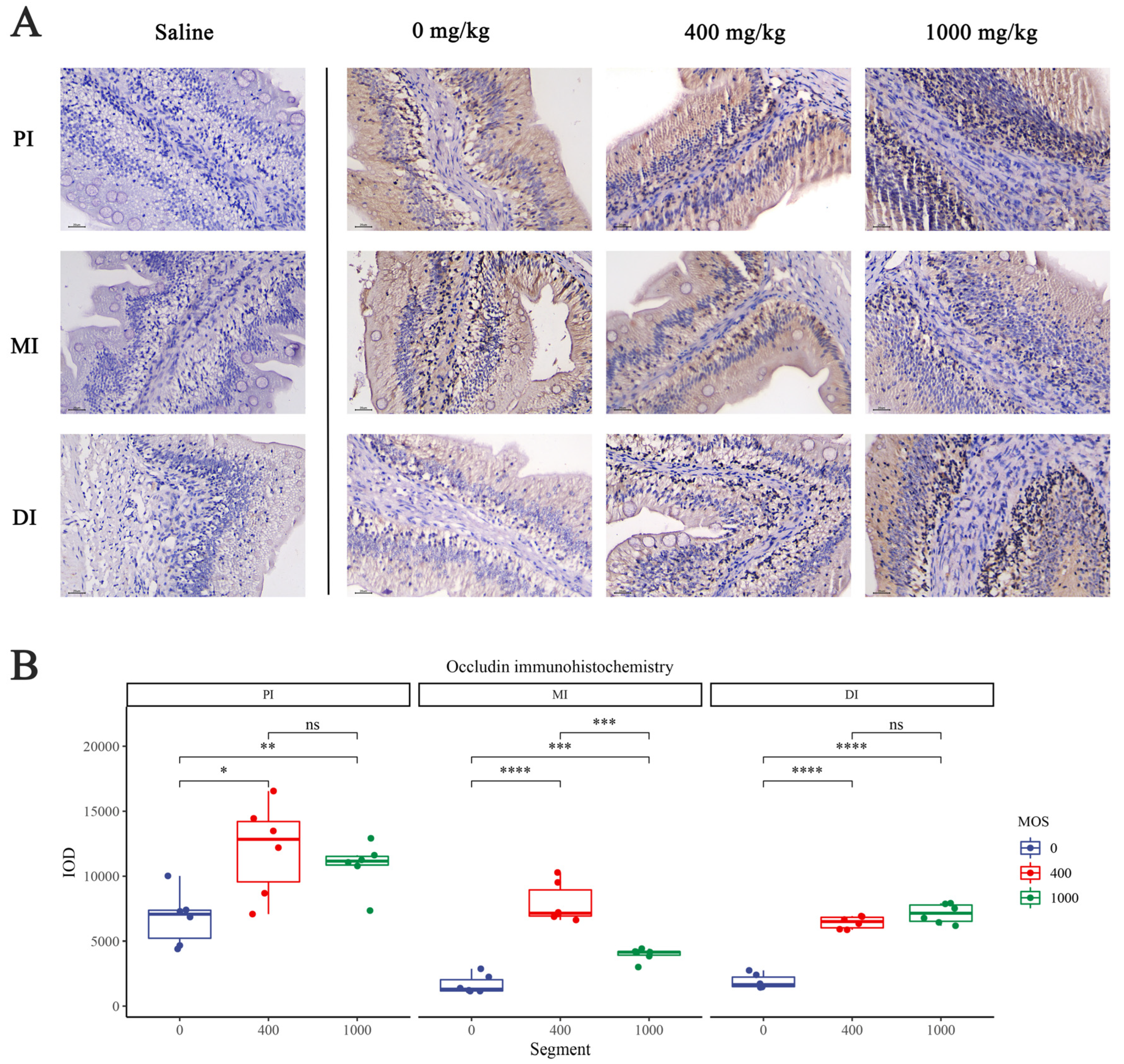 Antioxidants 11 00806 g002