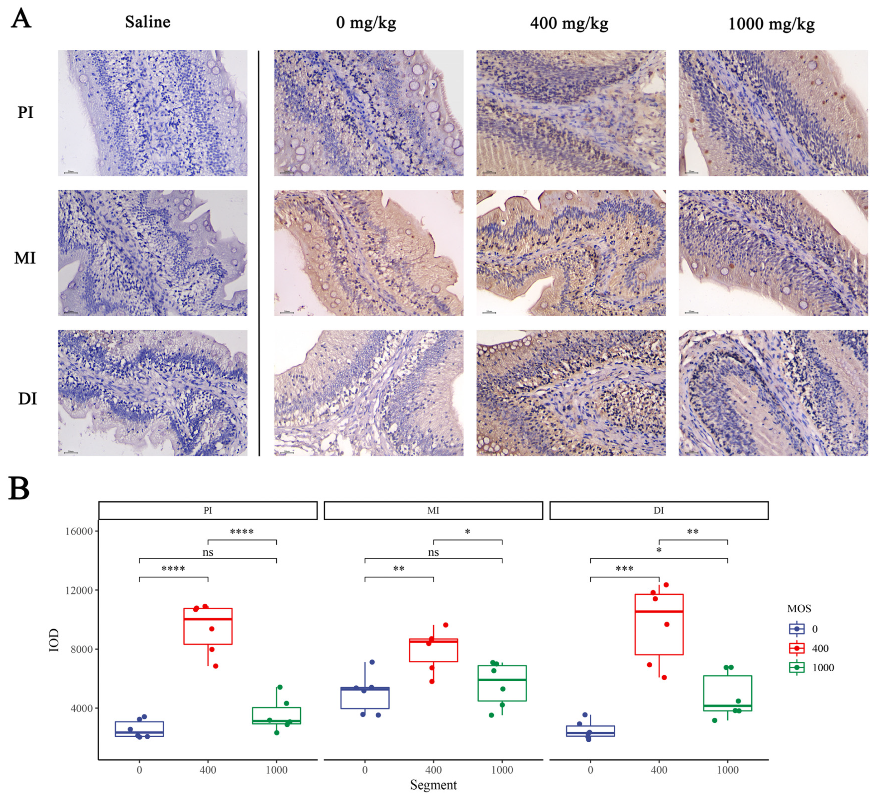 Antioxidants 11 00806 g003