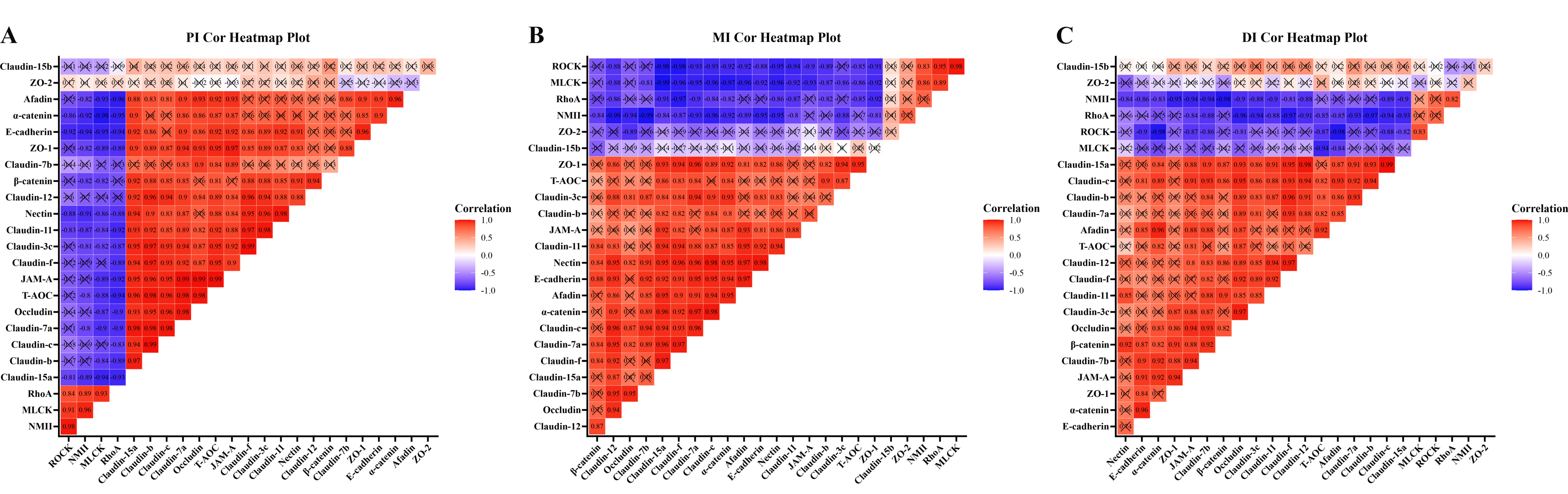 Antioxidants 11 00806 g005