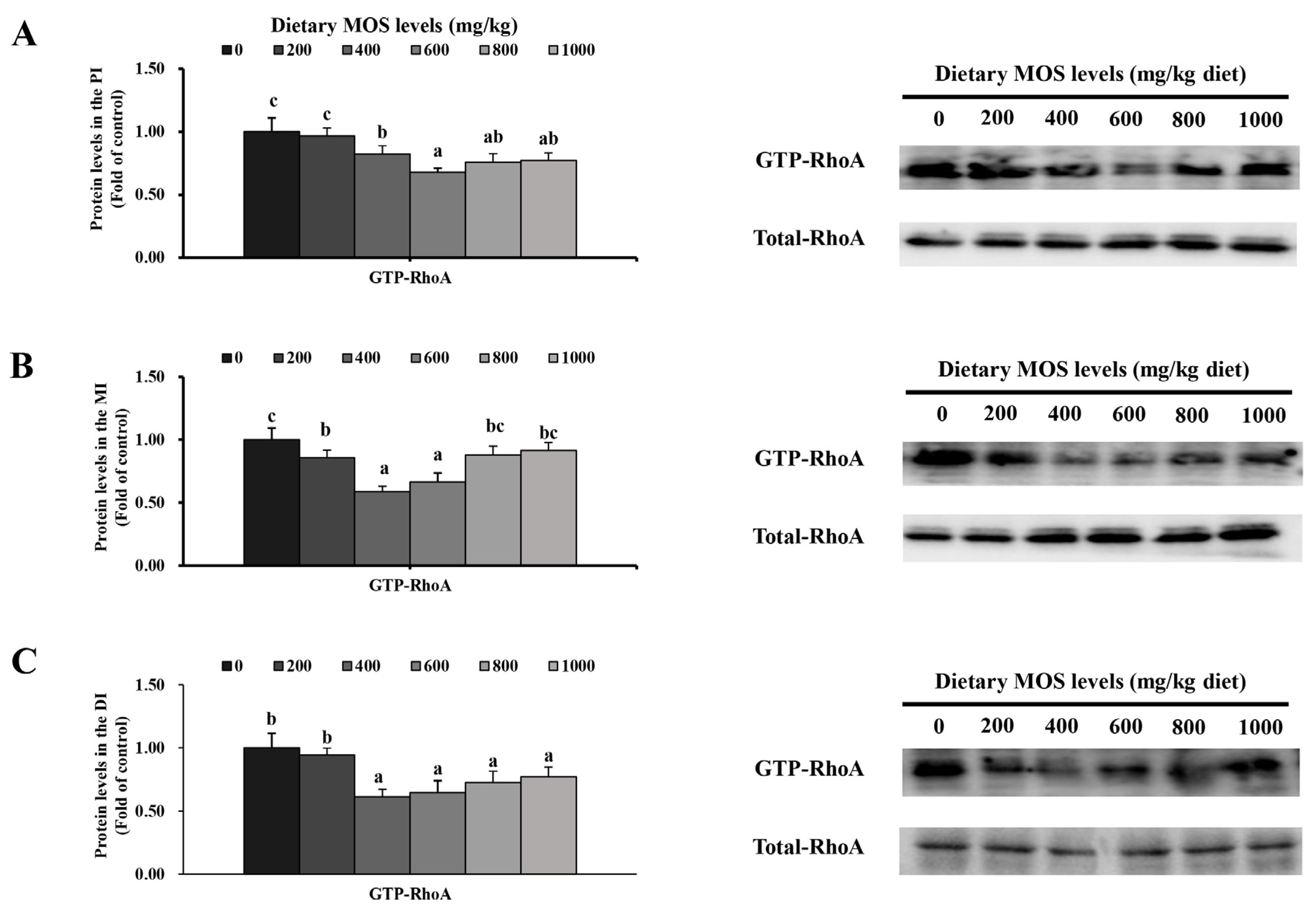 Antioxidants 11 00806 g006