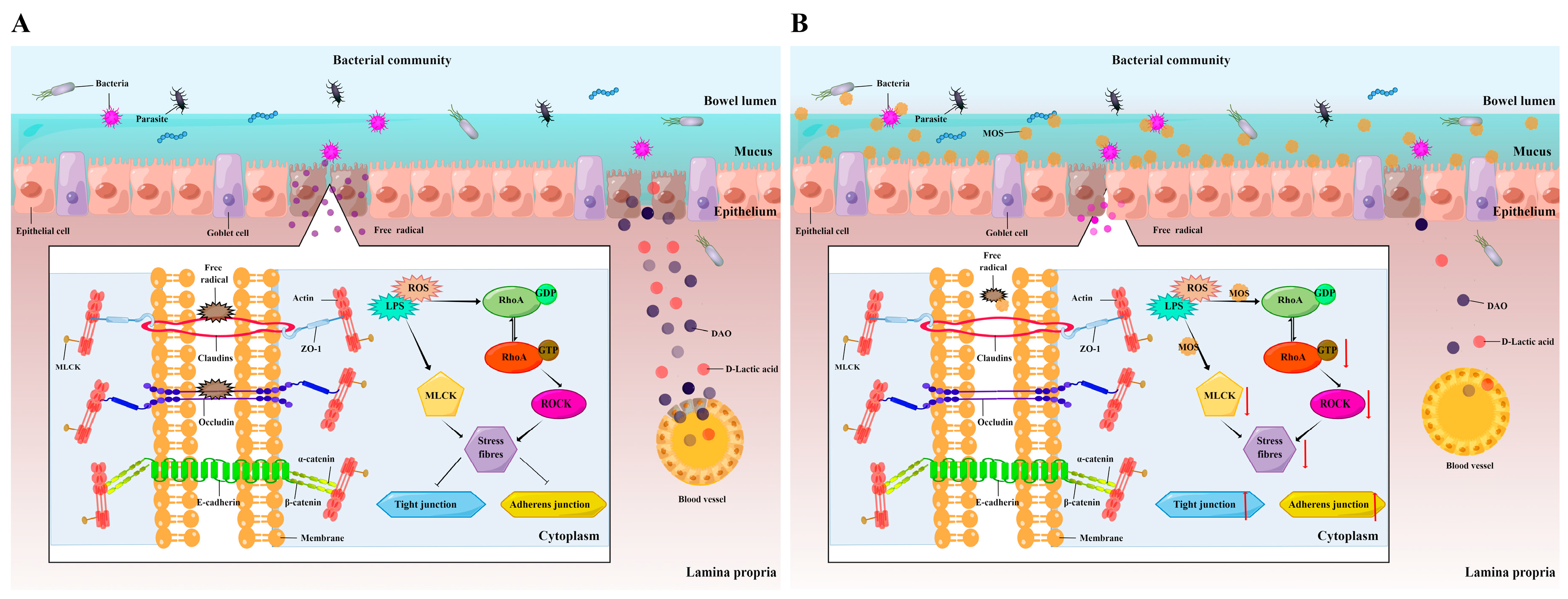 Antioxidants 11 00806 g007