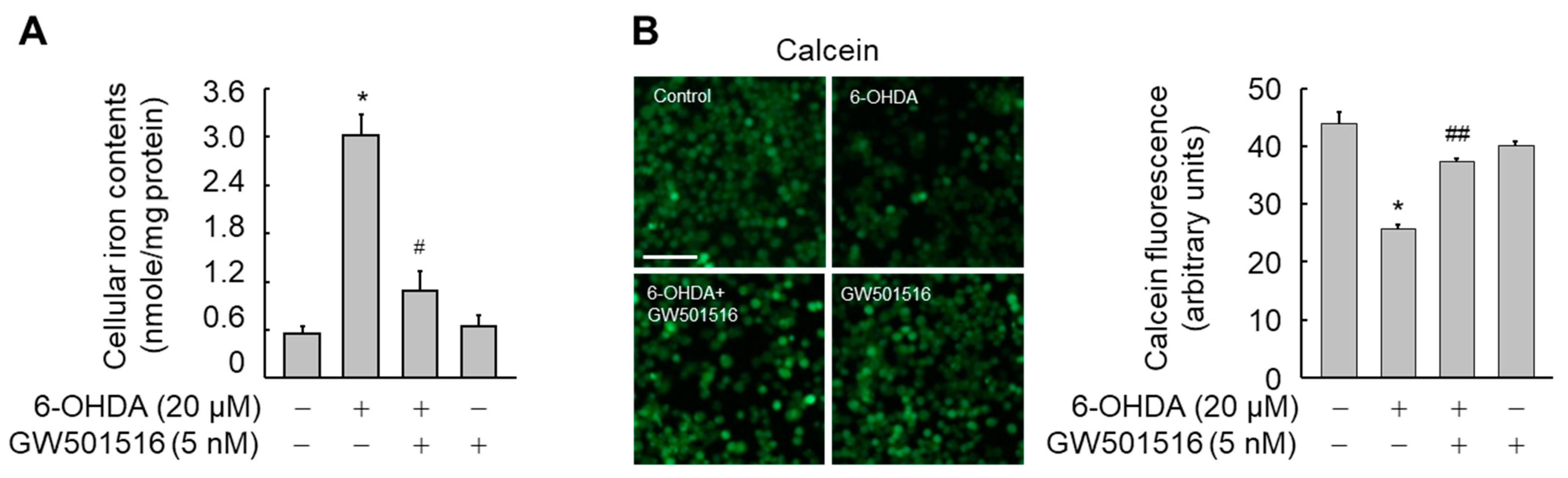 Antioxidants 11 00810 g002