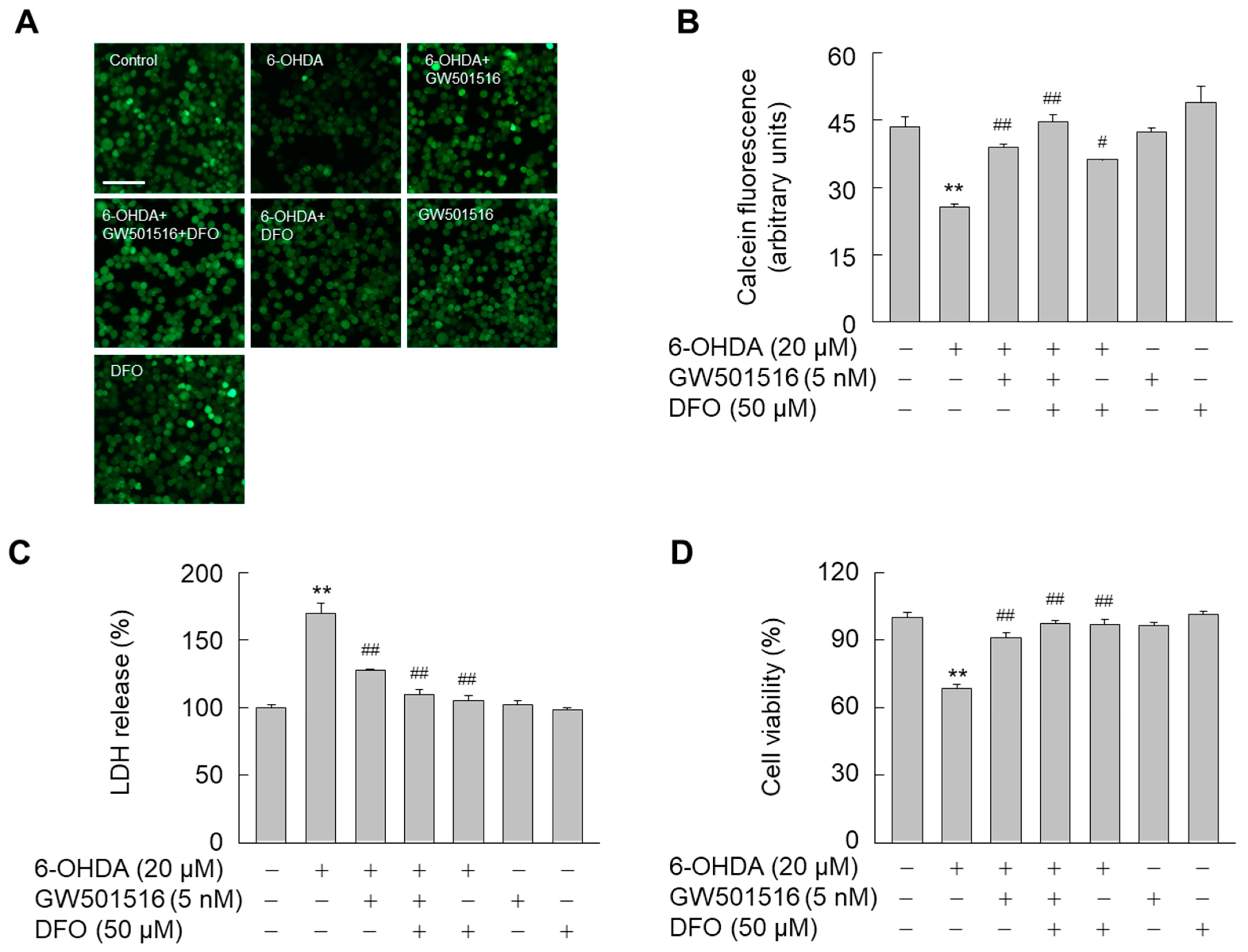 Antioxidants 11 00810 g003