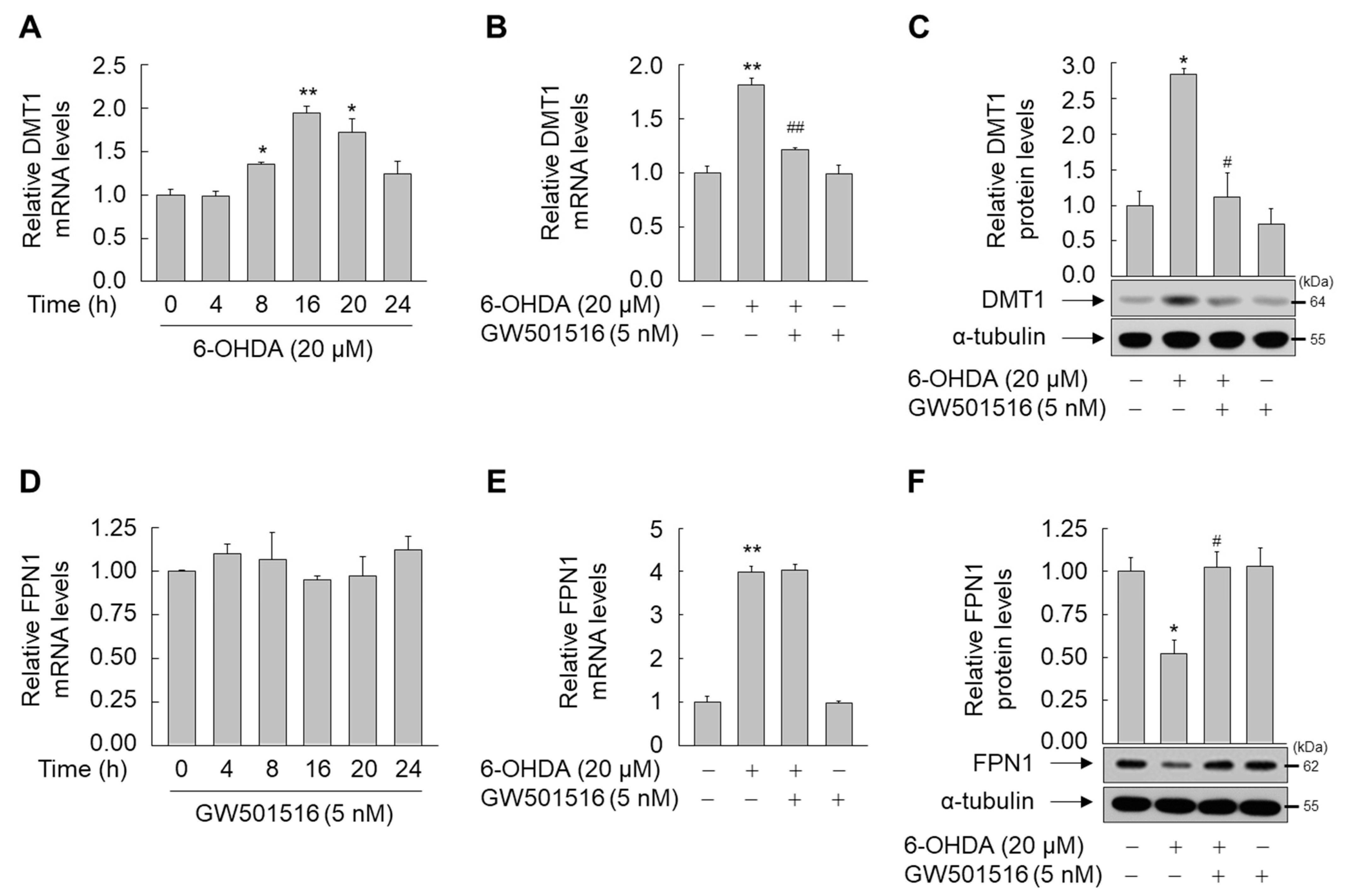 Antioxidants 11 00810 g004