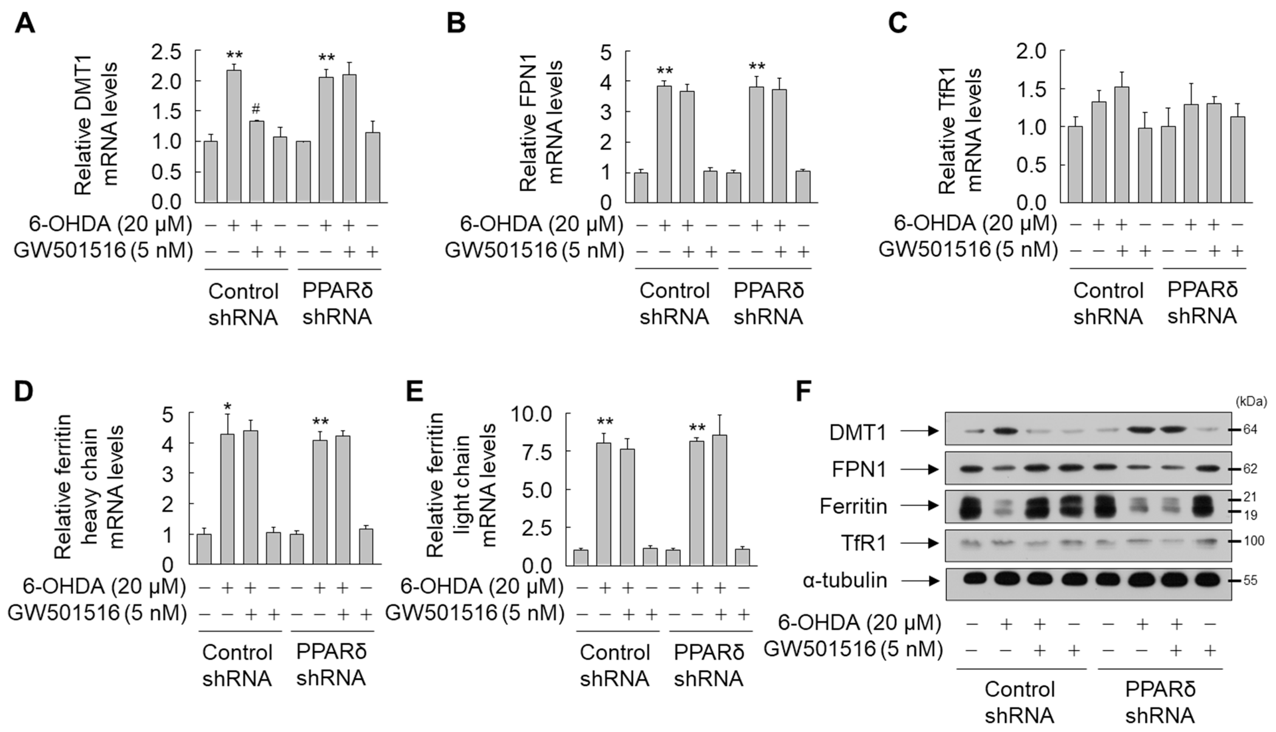 Antioxidants 11 00810 g005