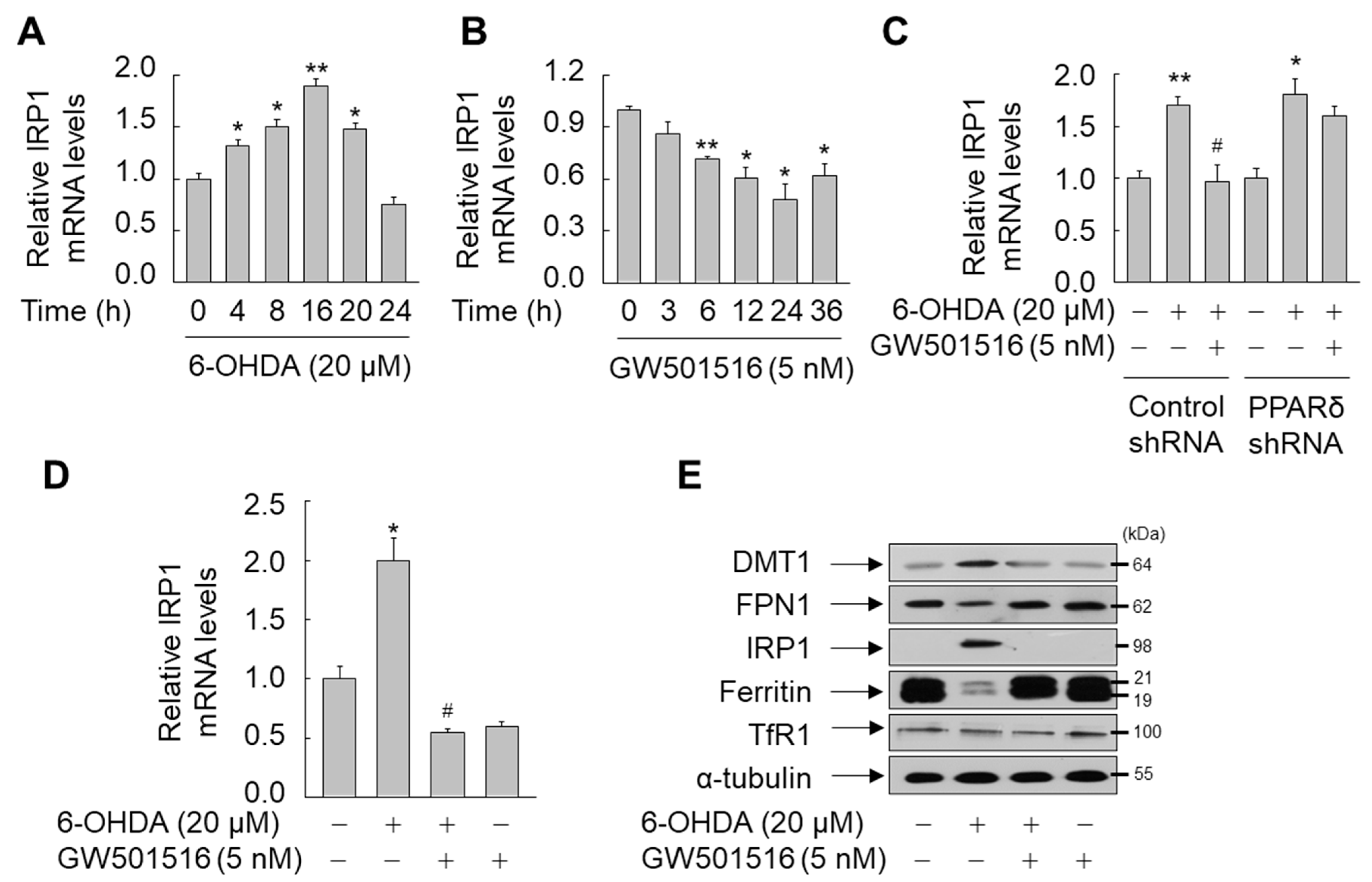 Antioxidants 11 00810 g006
