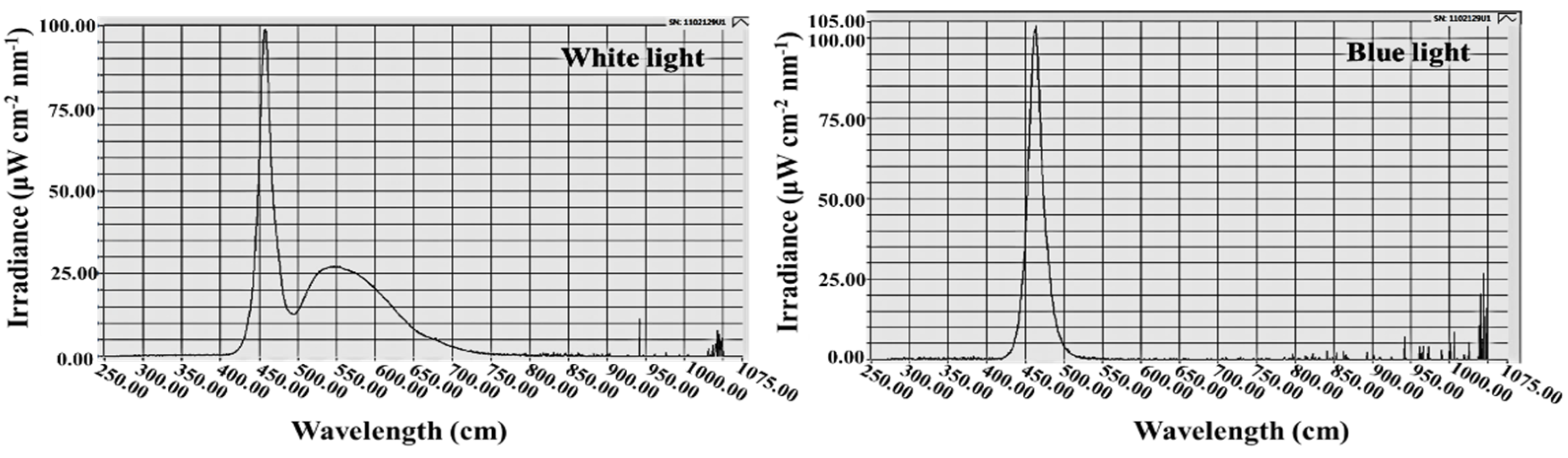 Antioxidants 11 00811 g001