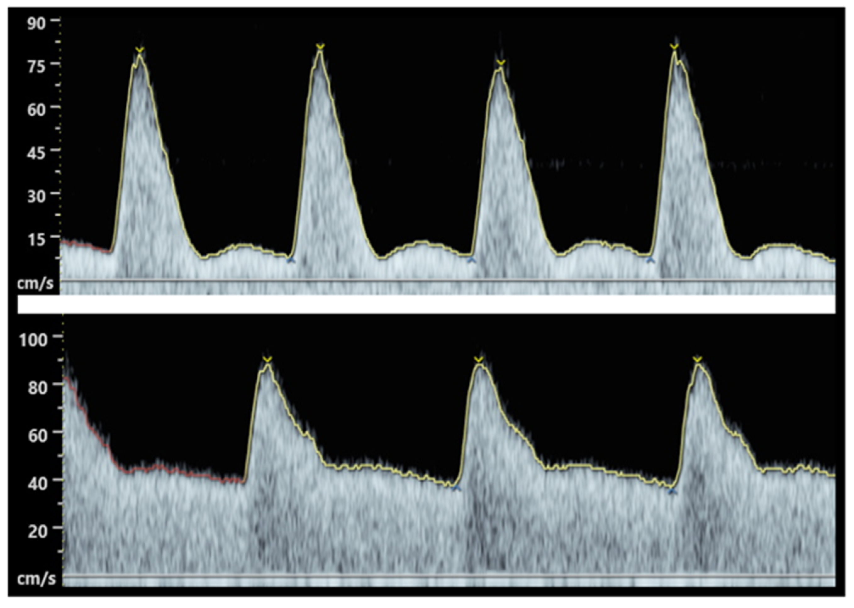 Antioxidants 11 00812 g001