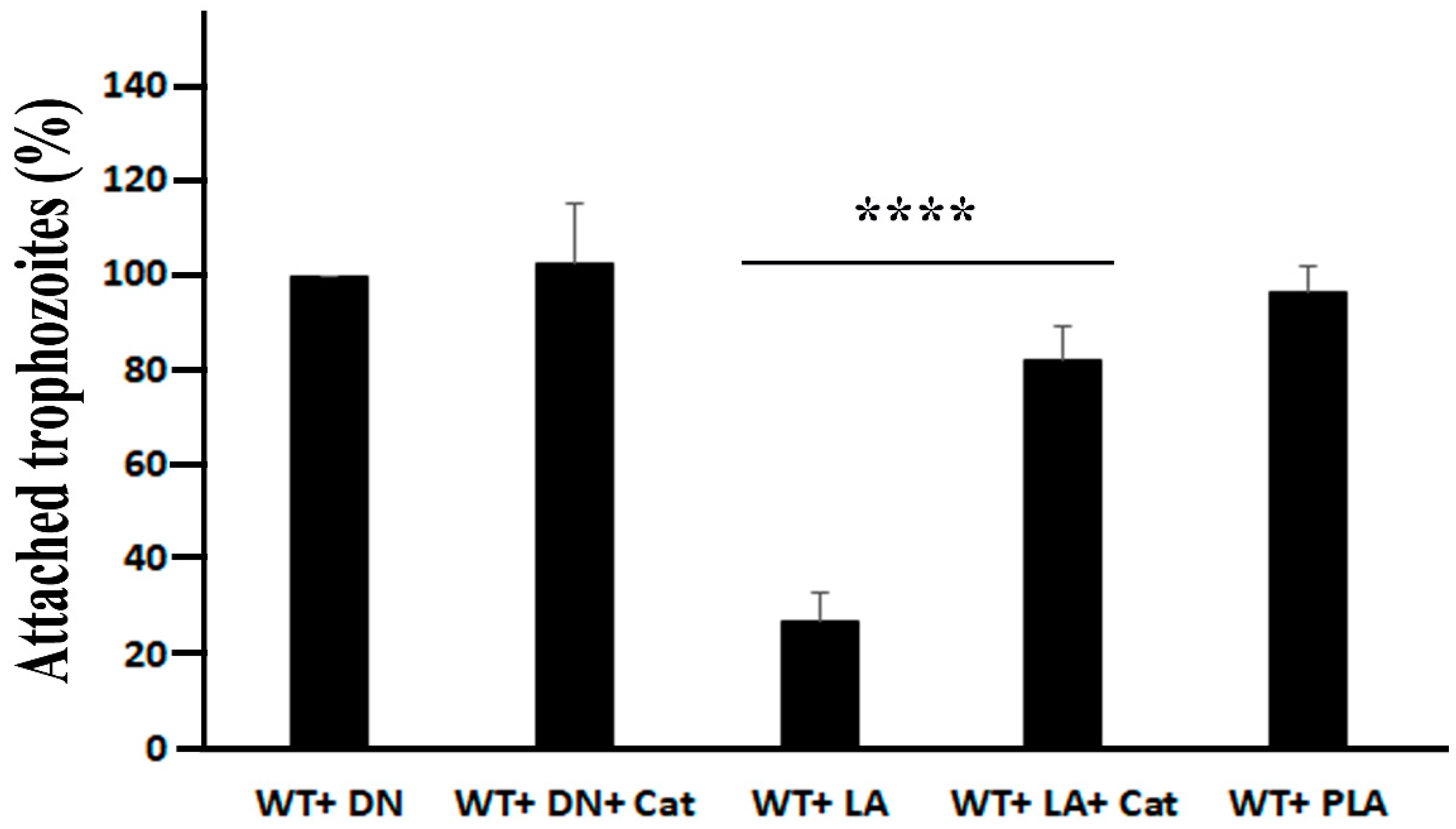 Antioxidants 11 00814 g005 Antioxidants 11 00814 g005