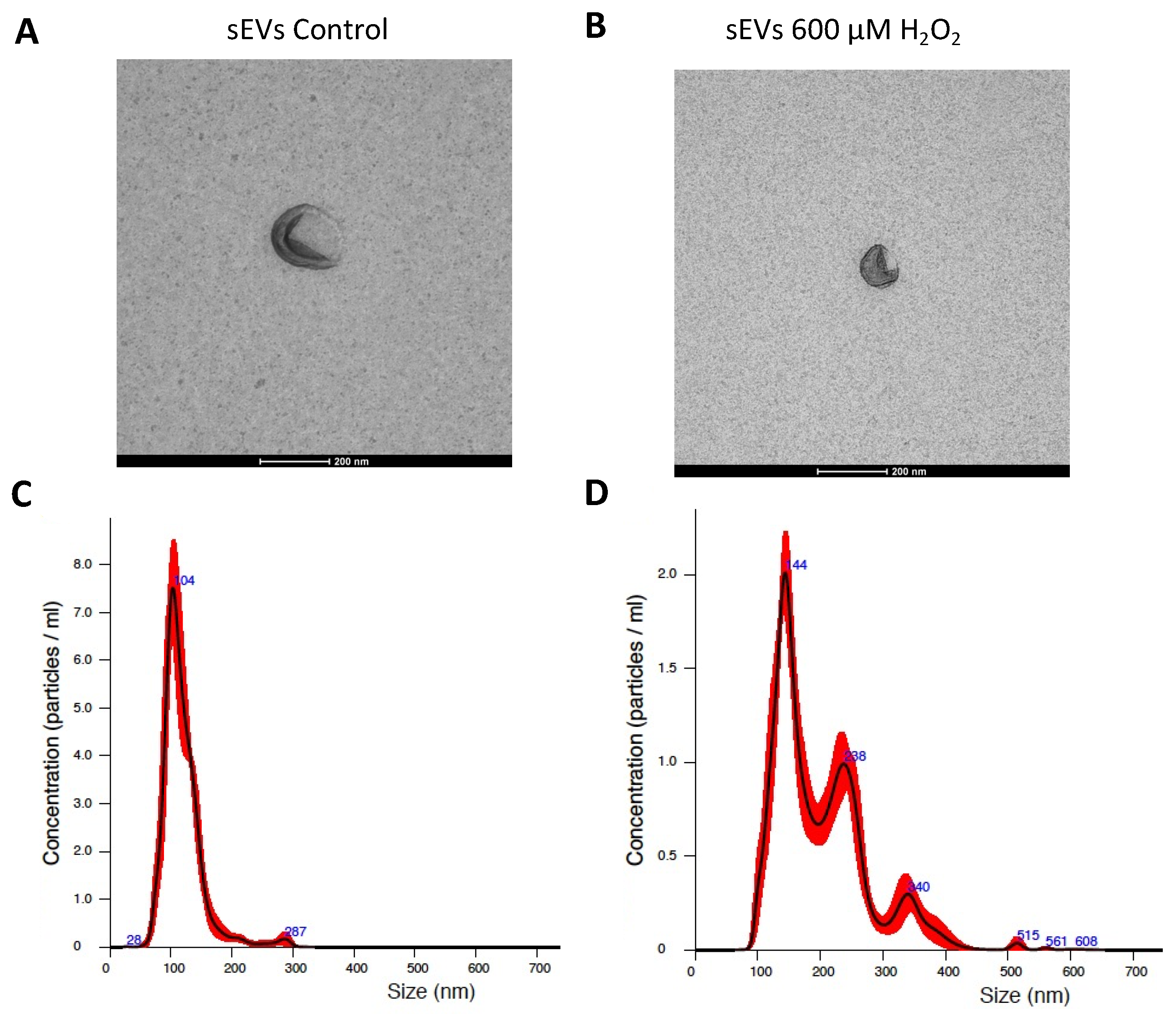 Antioxidants 11 00818 g002