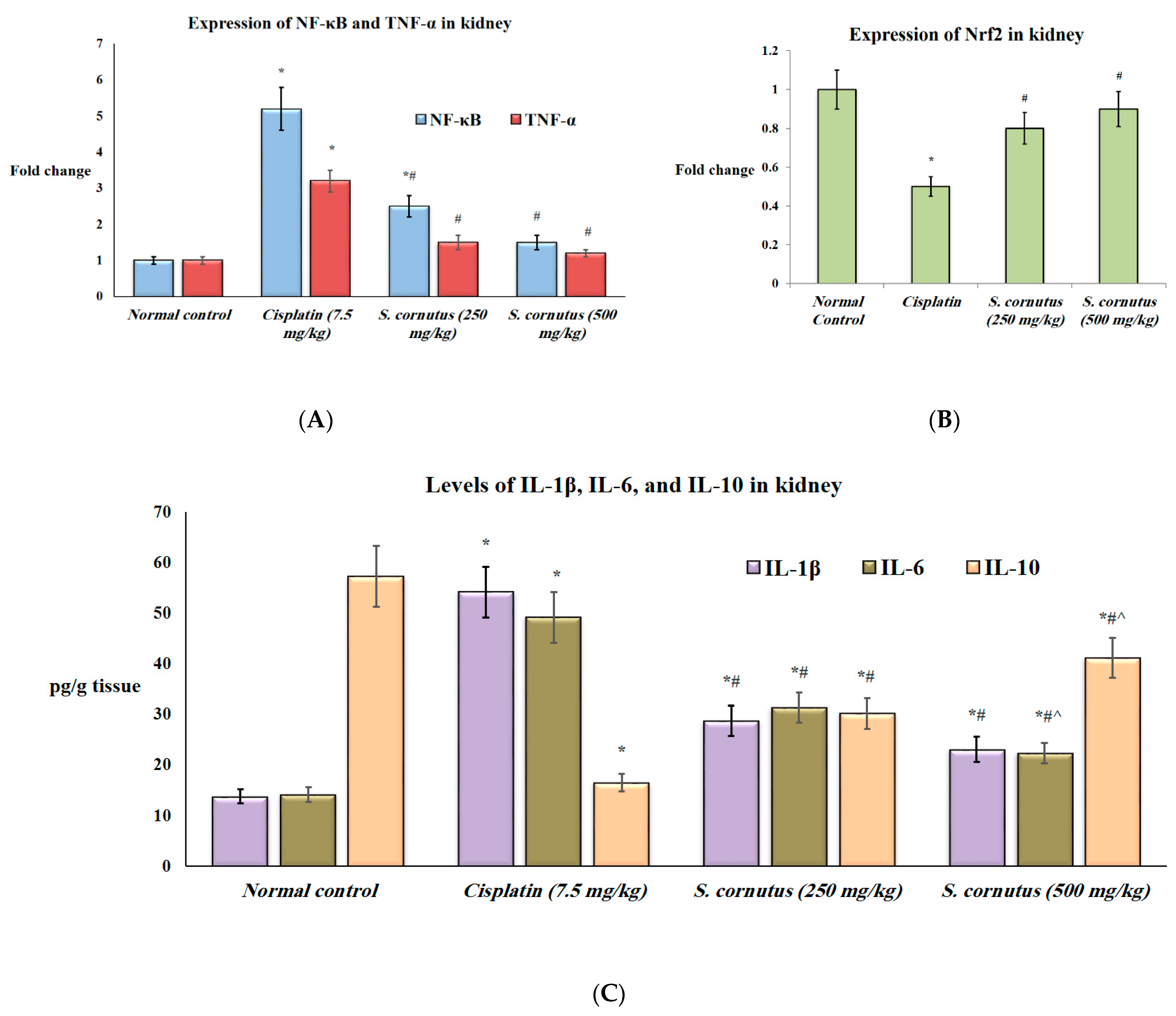 Antioxidants 11 00819 g003