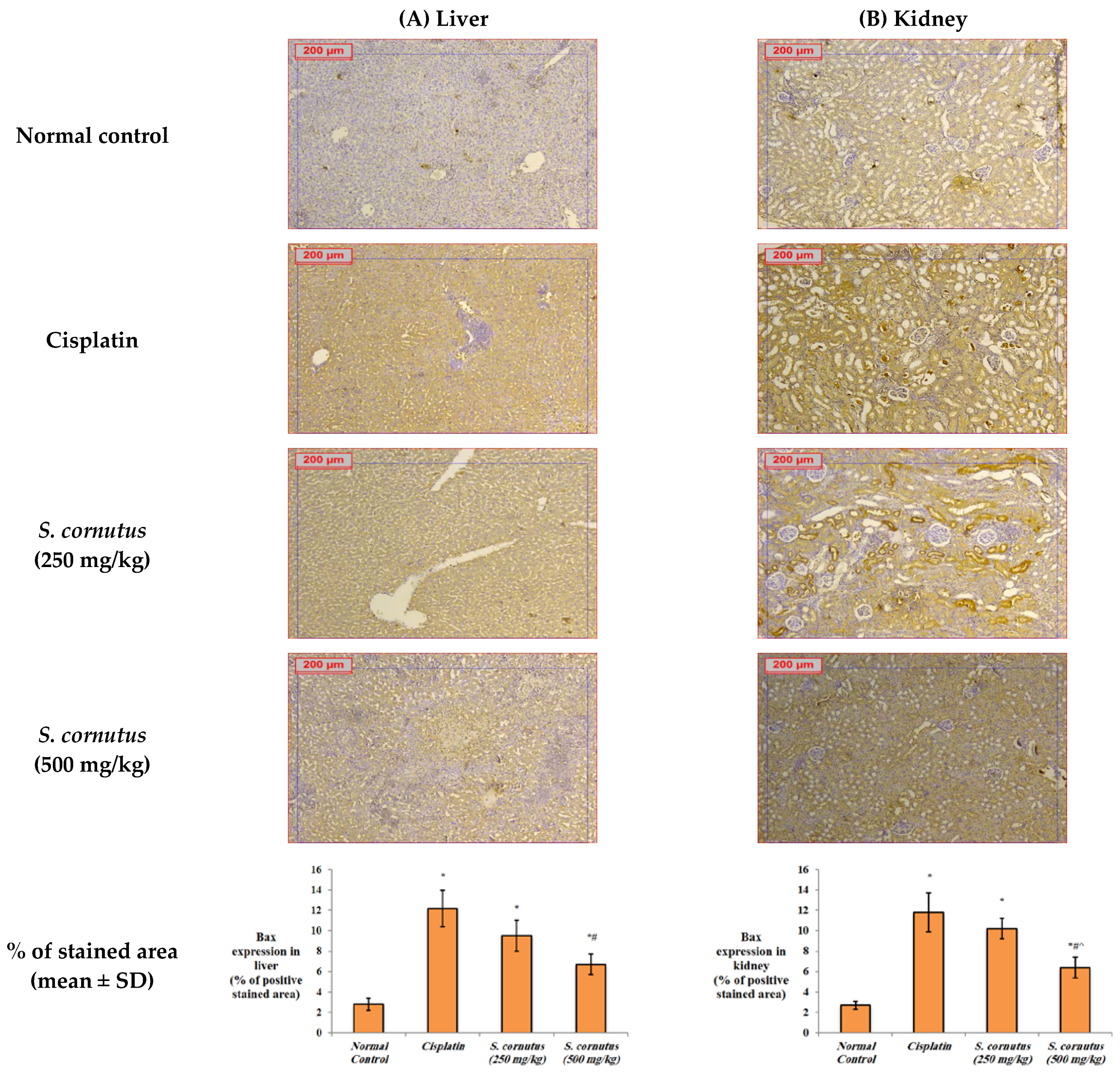 Antioxidants 11 00819 g005