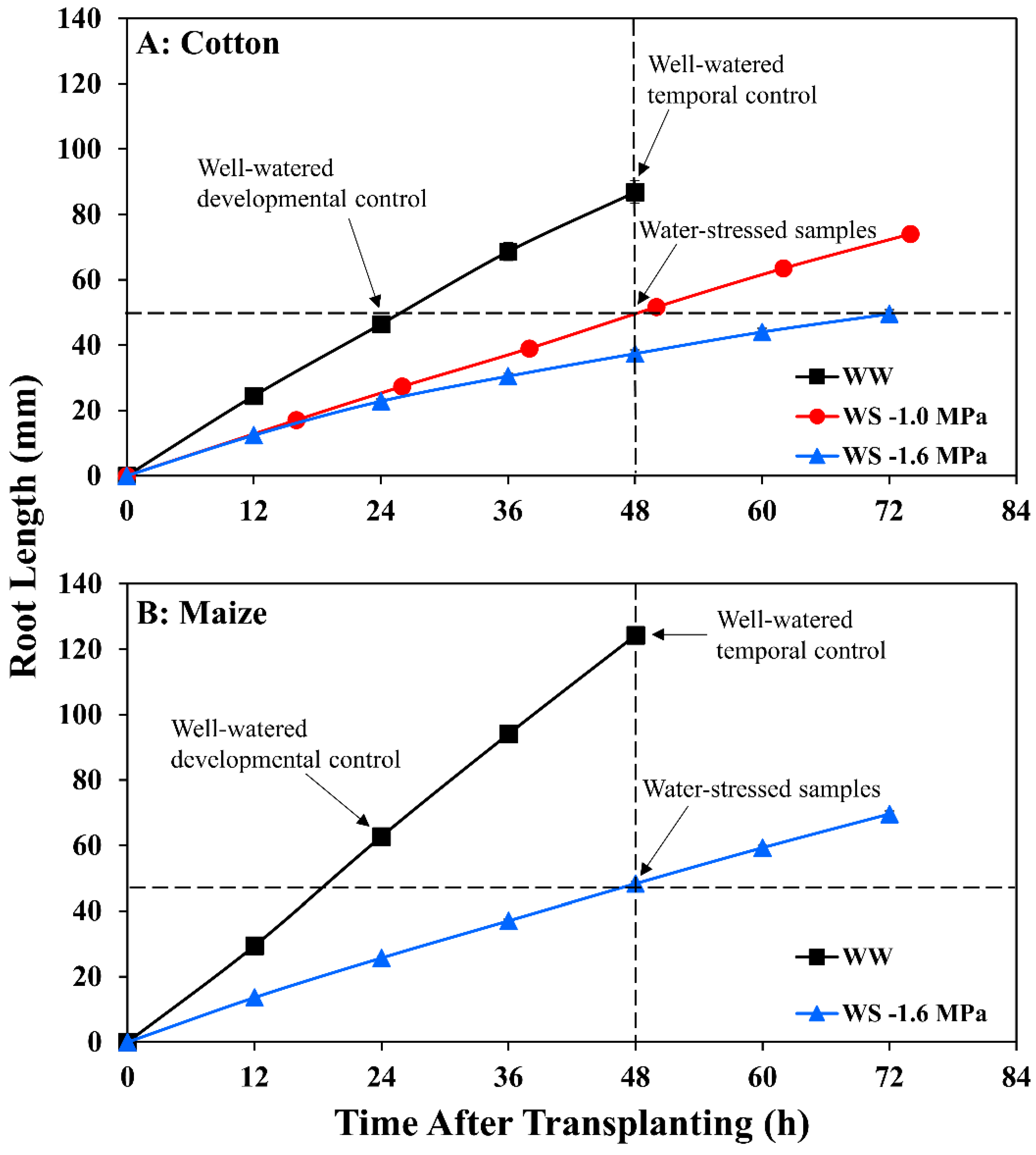 Antioxidants 11 00820 g001