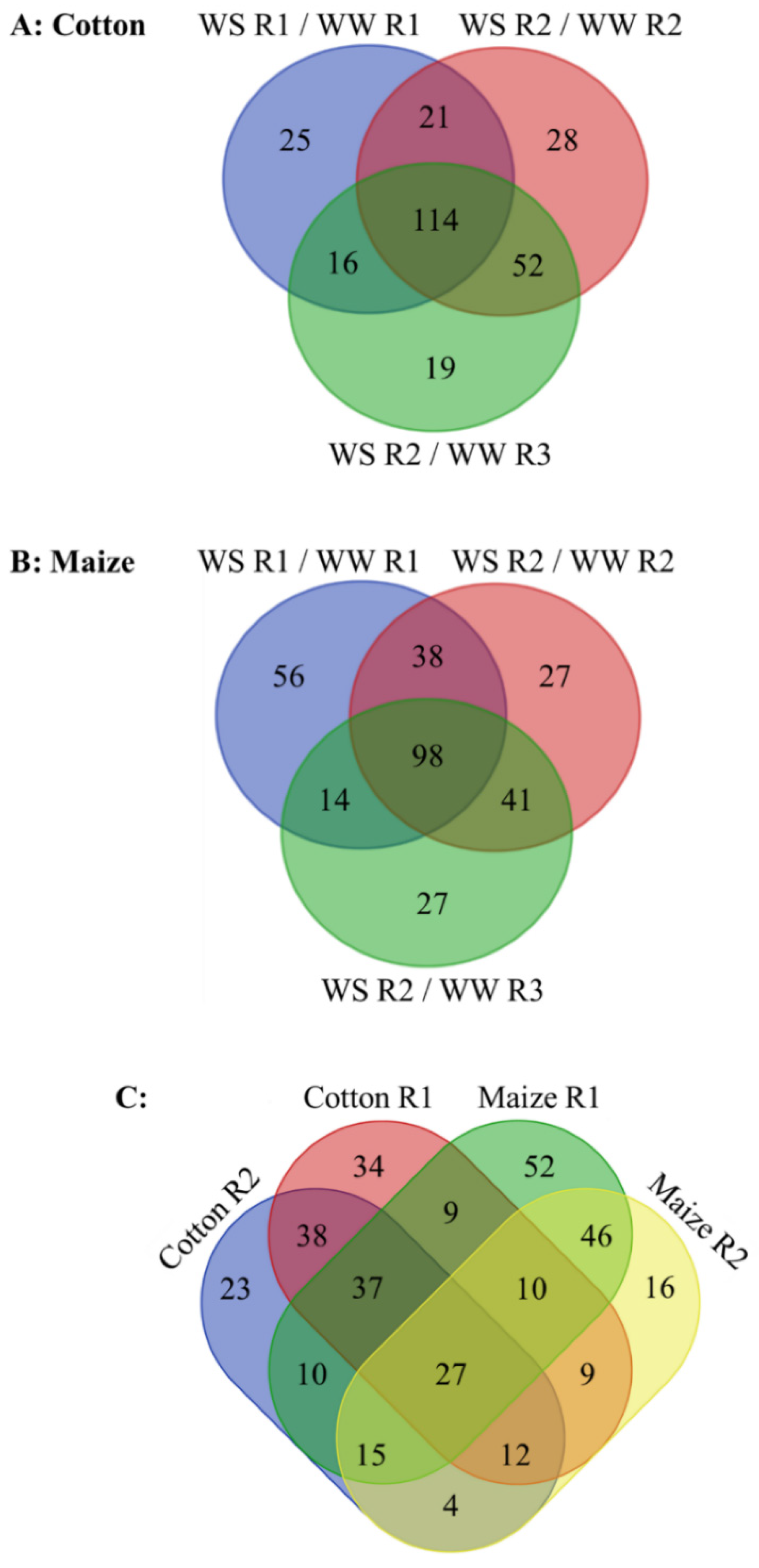 Antioxidants 11 00820 g004