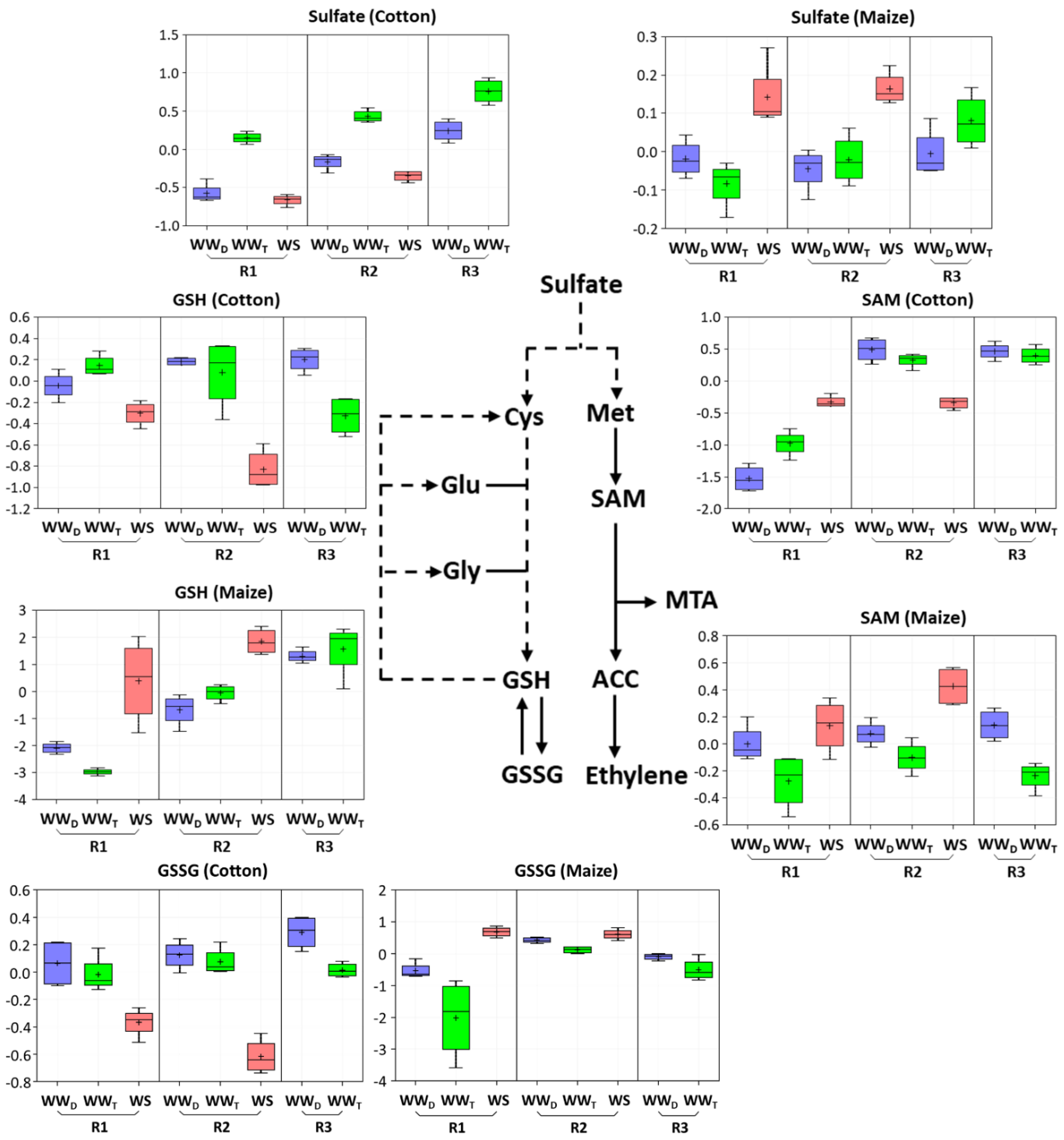 Antioxidants 11 00820 g005