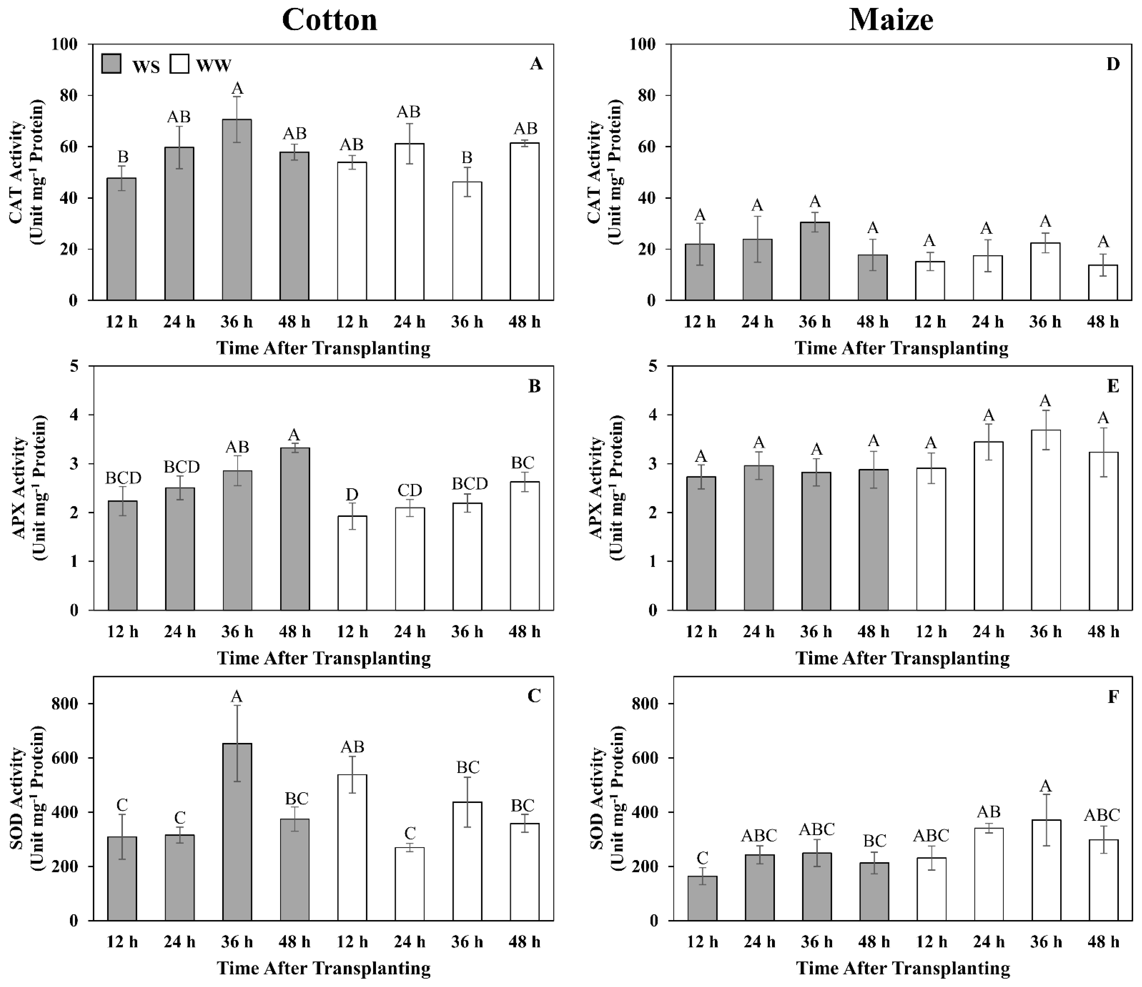 Antioxidants 11 00820 g008